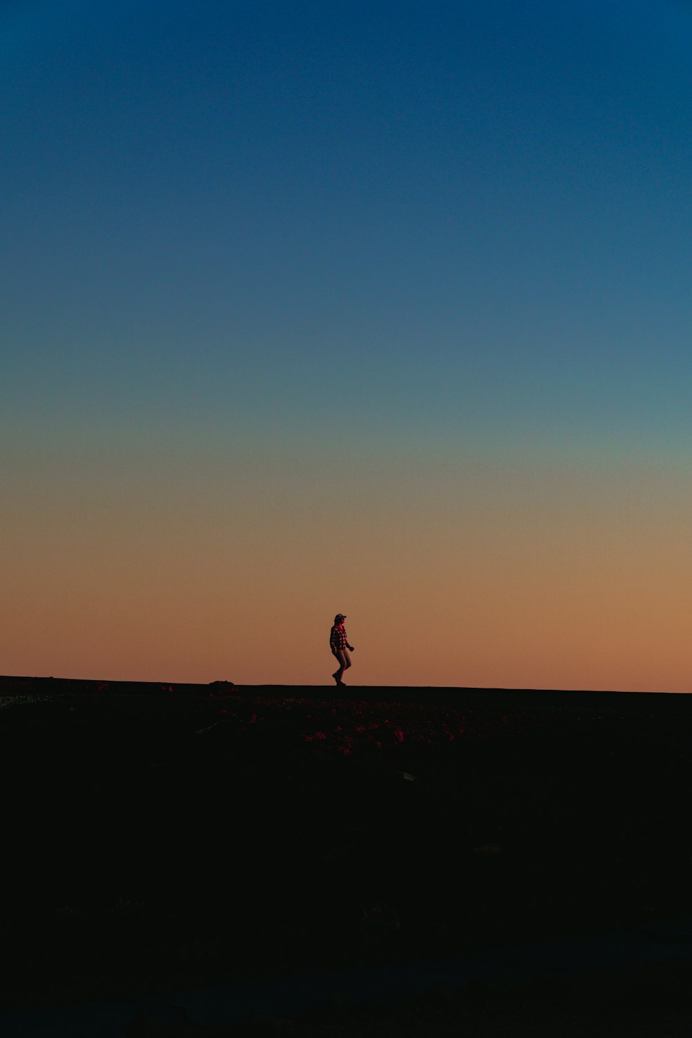 a person is flying a kite in the sky