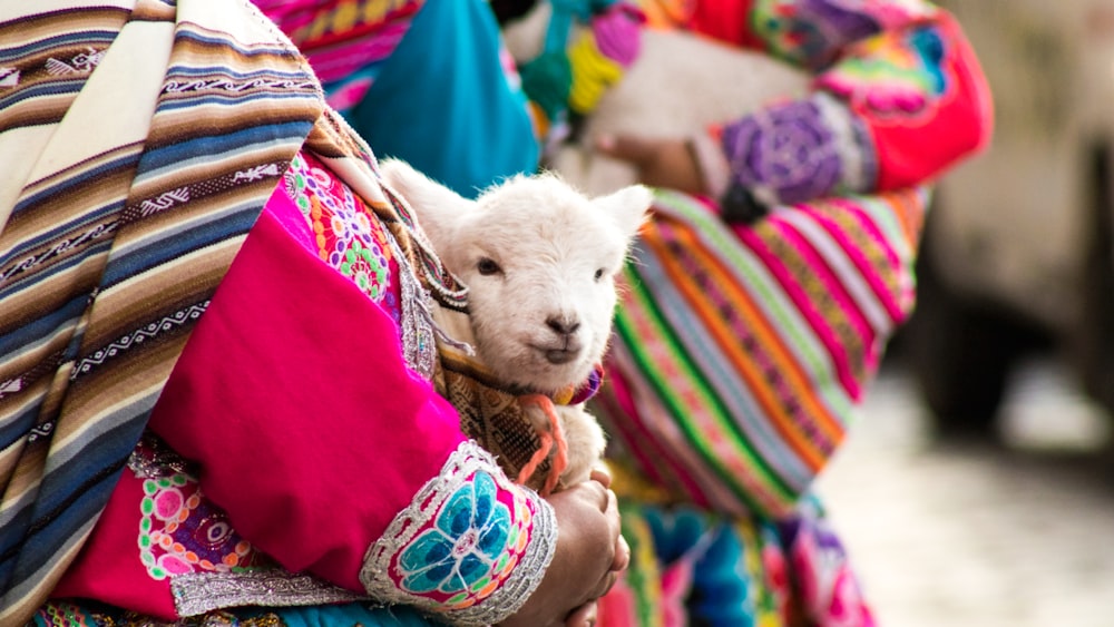 a woman holding a lamb in her arms