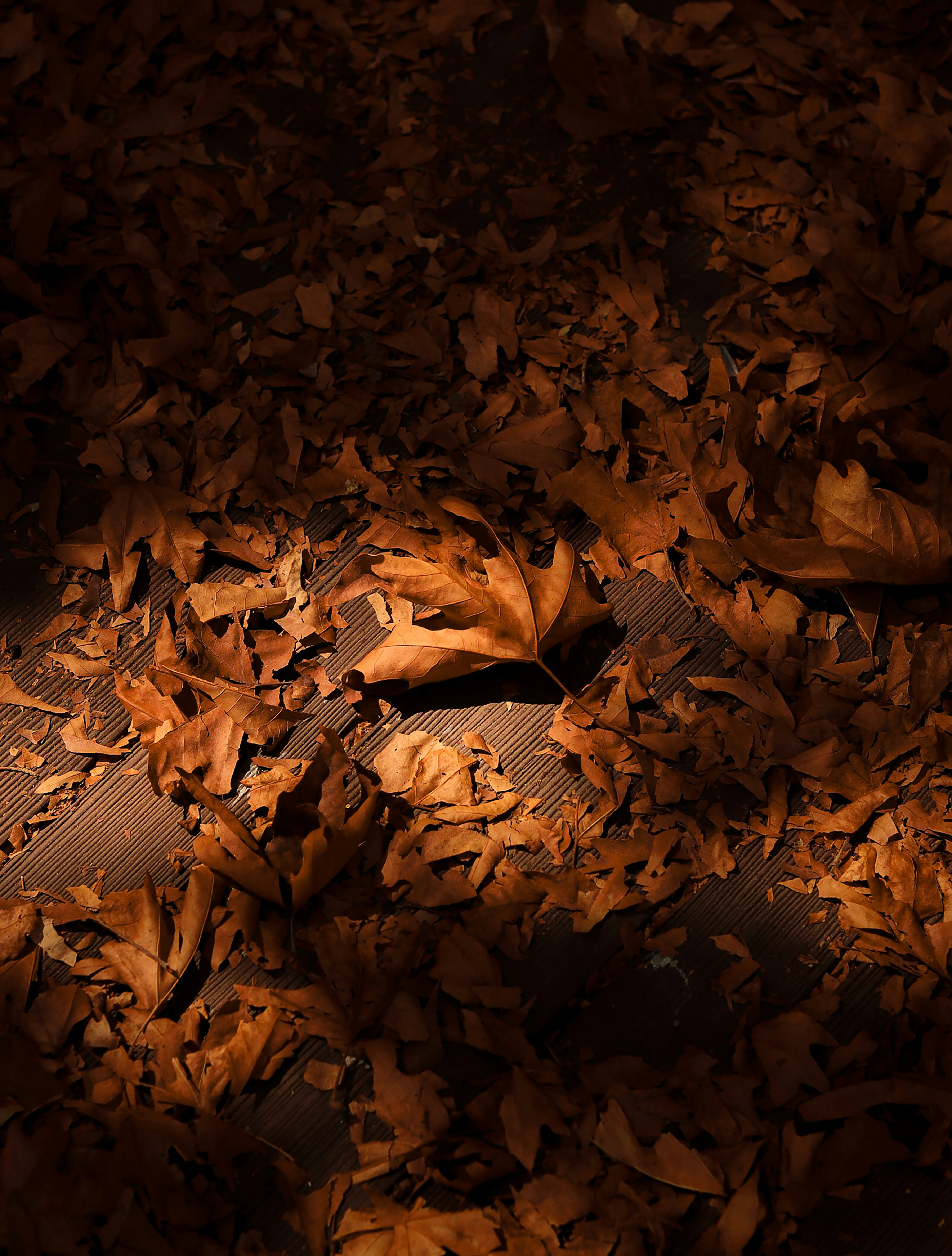 Photo by thehosseiin