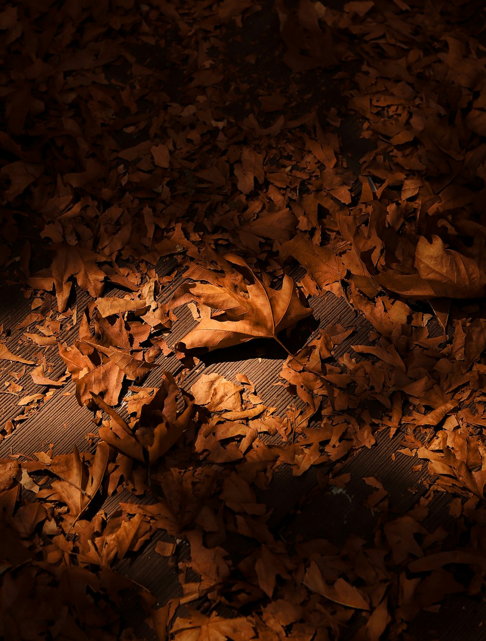 a pile of leaves sitting on top of a wooden floor