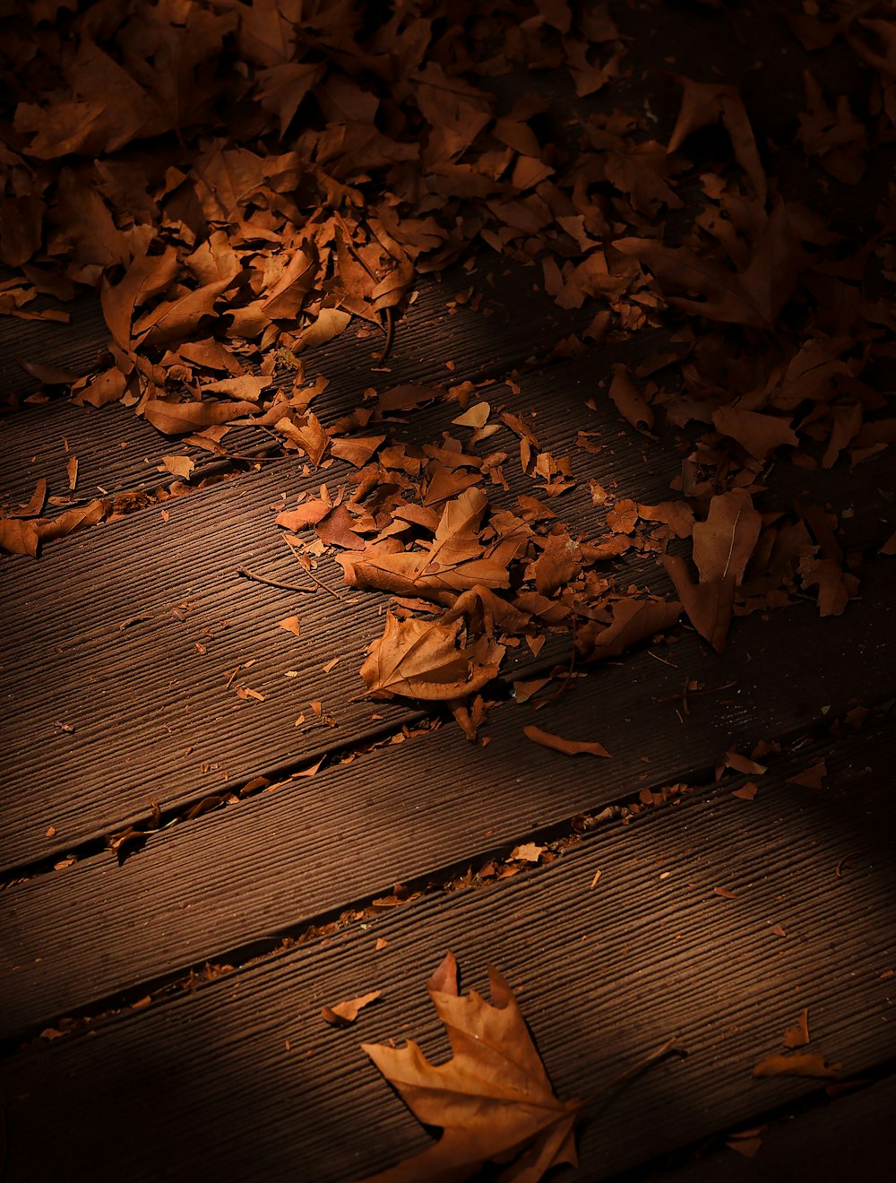 a close up of leaves on a wooden floor