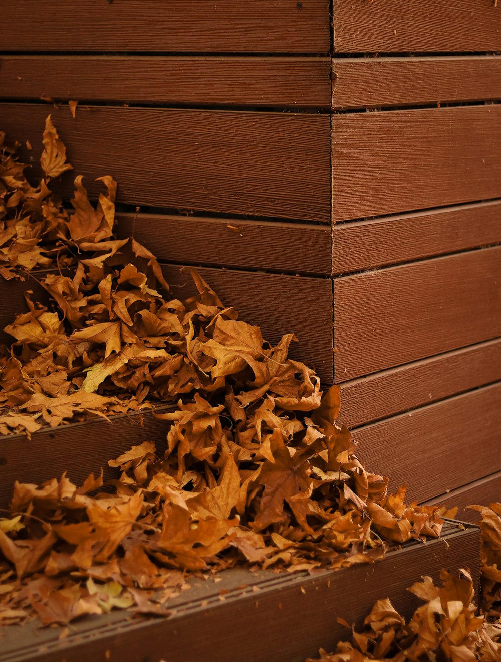 a fire hydrant sitting next to a pile of leaves