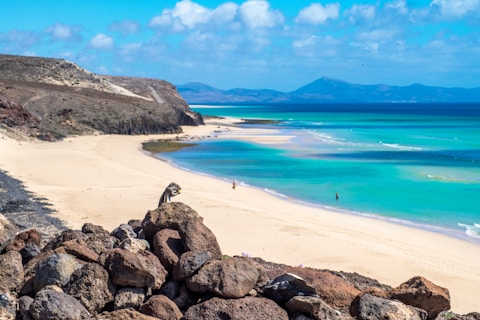 a sandy beach next to a blue ocean