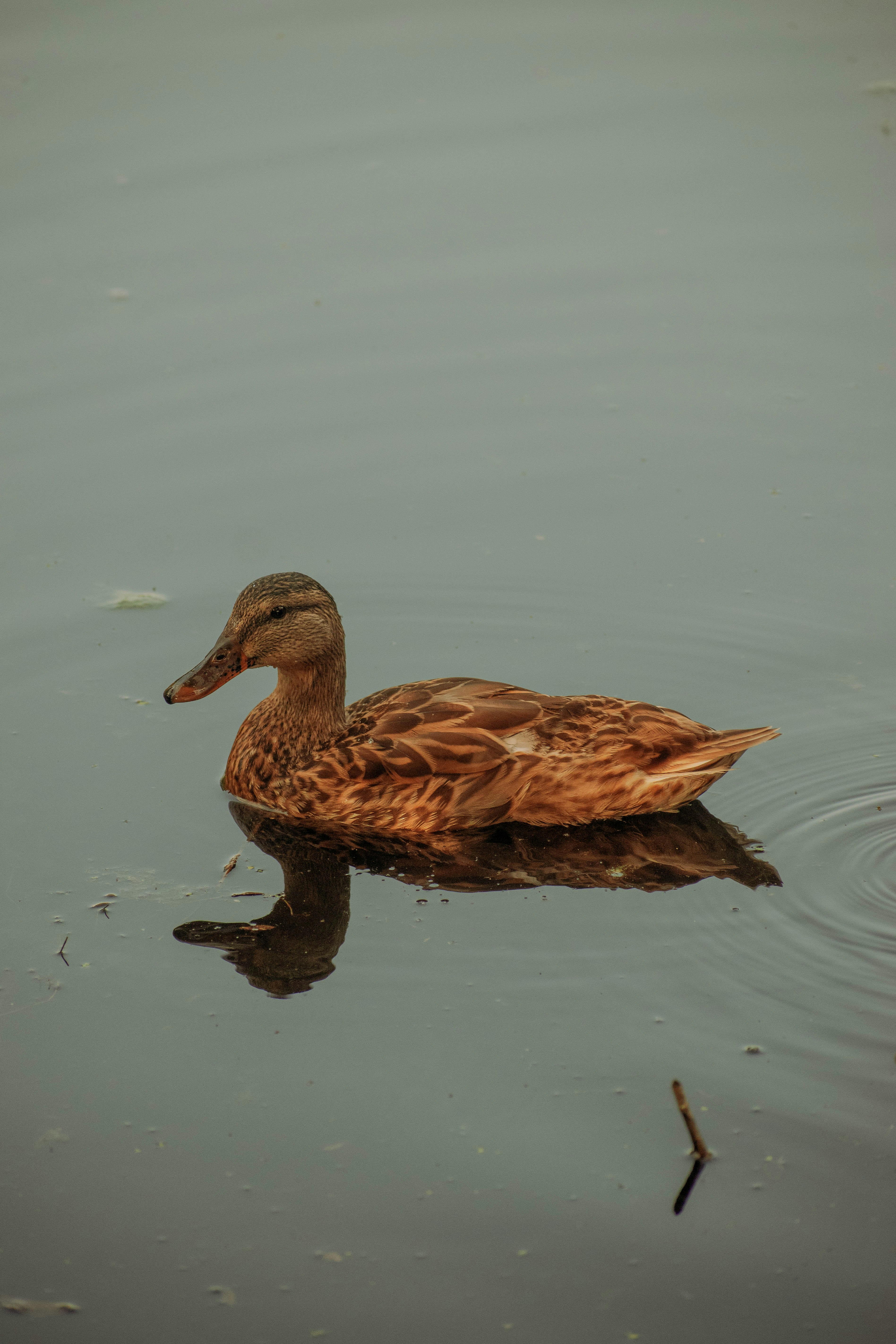 Photo by mariahhewines