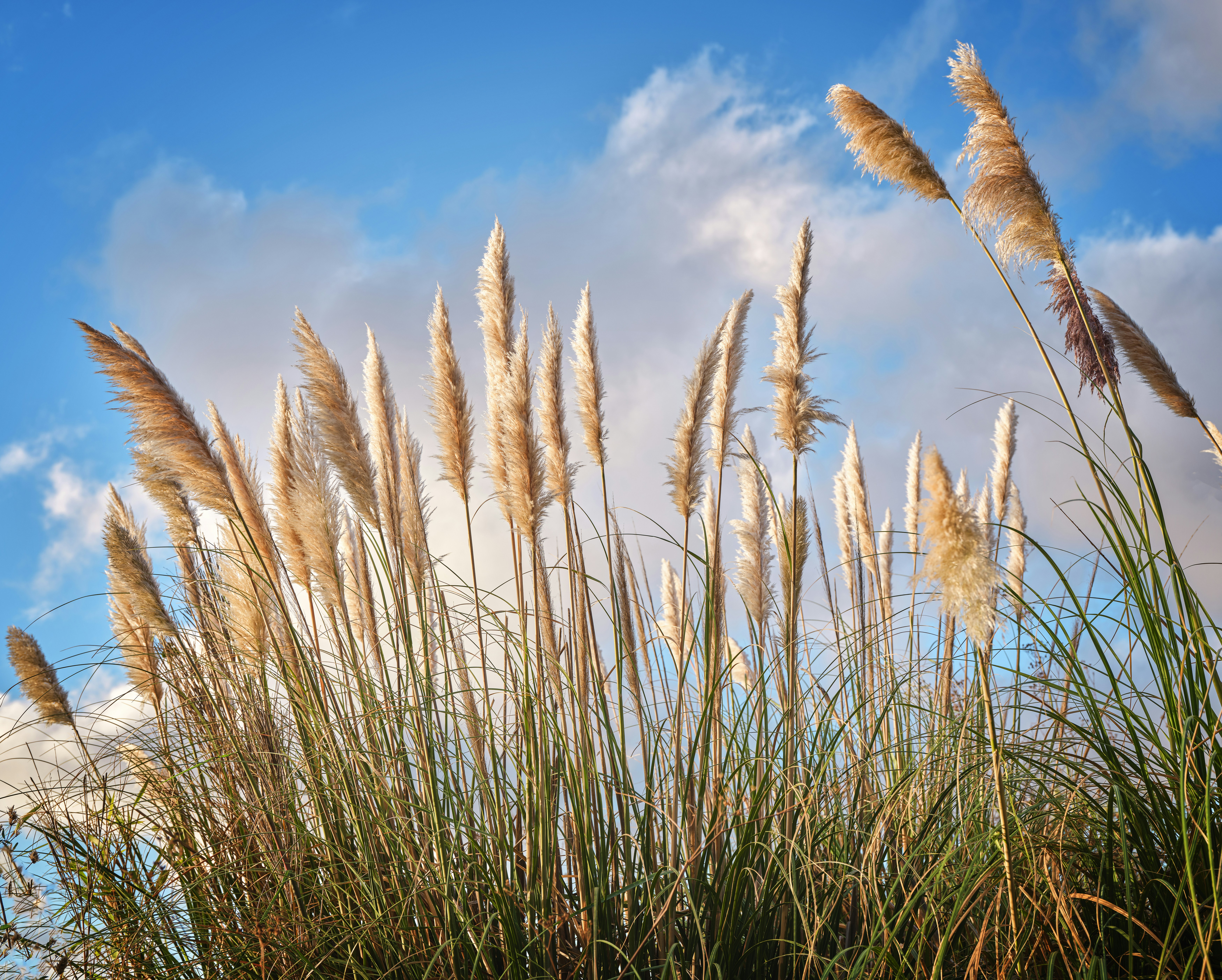 Photo by christianbuehner