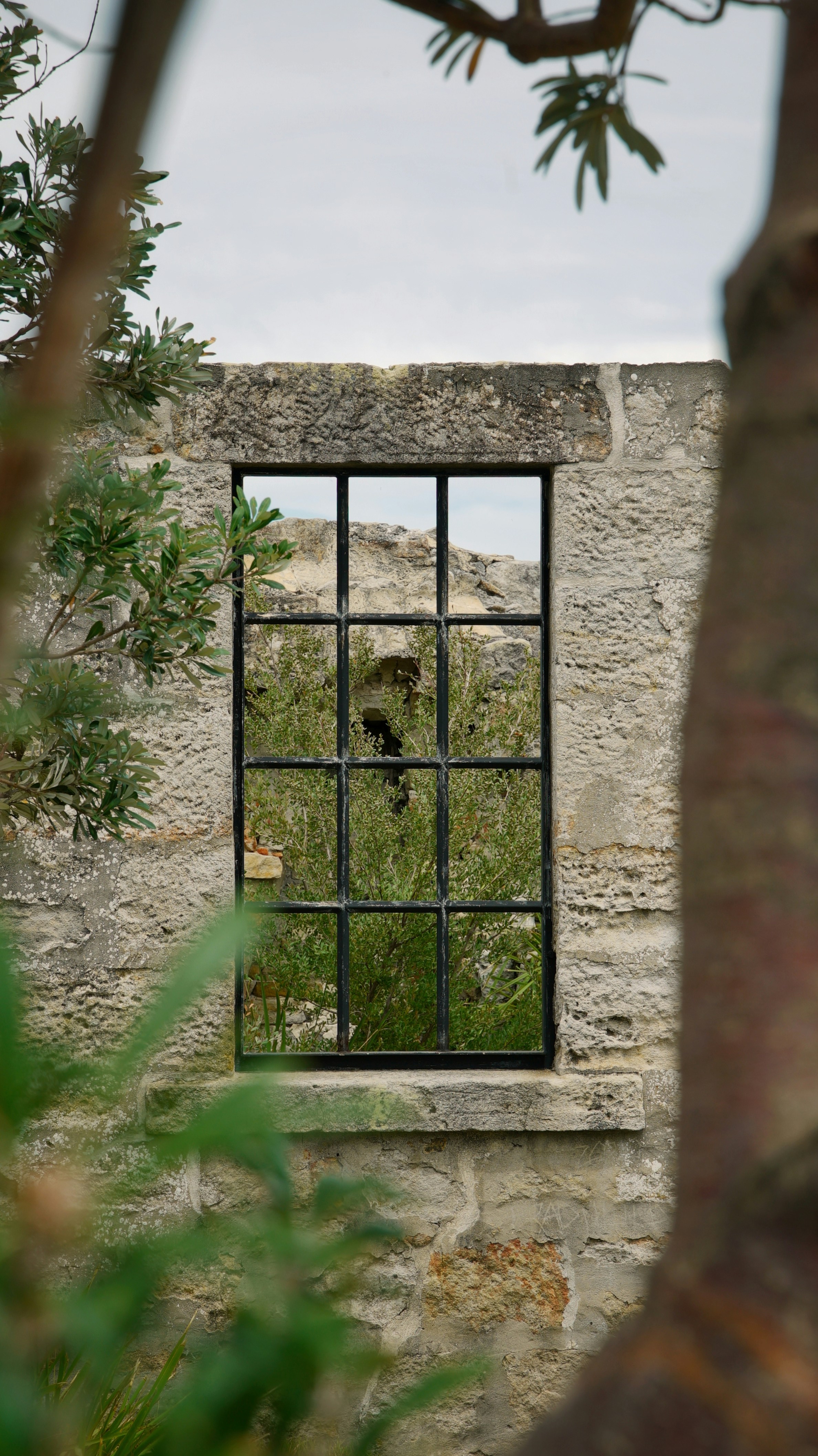 Ein Fenster in einer Steinmauer mit einem Baum im Hintergrund