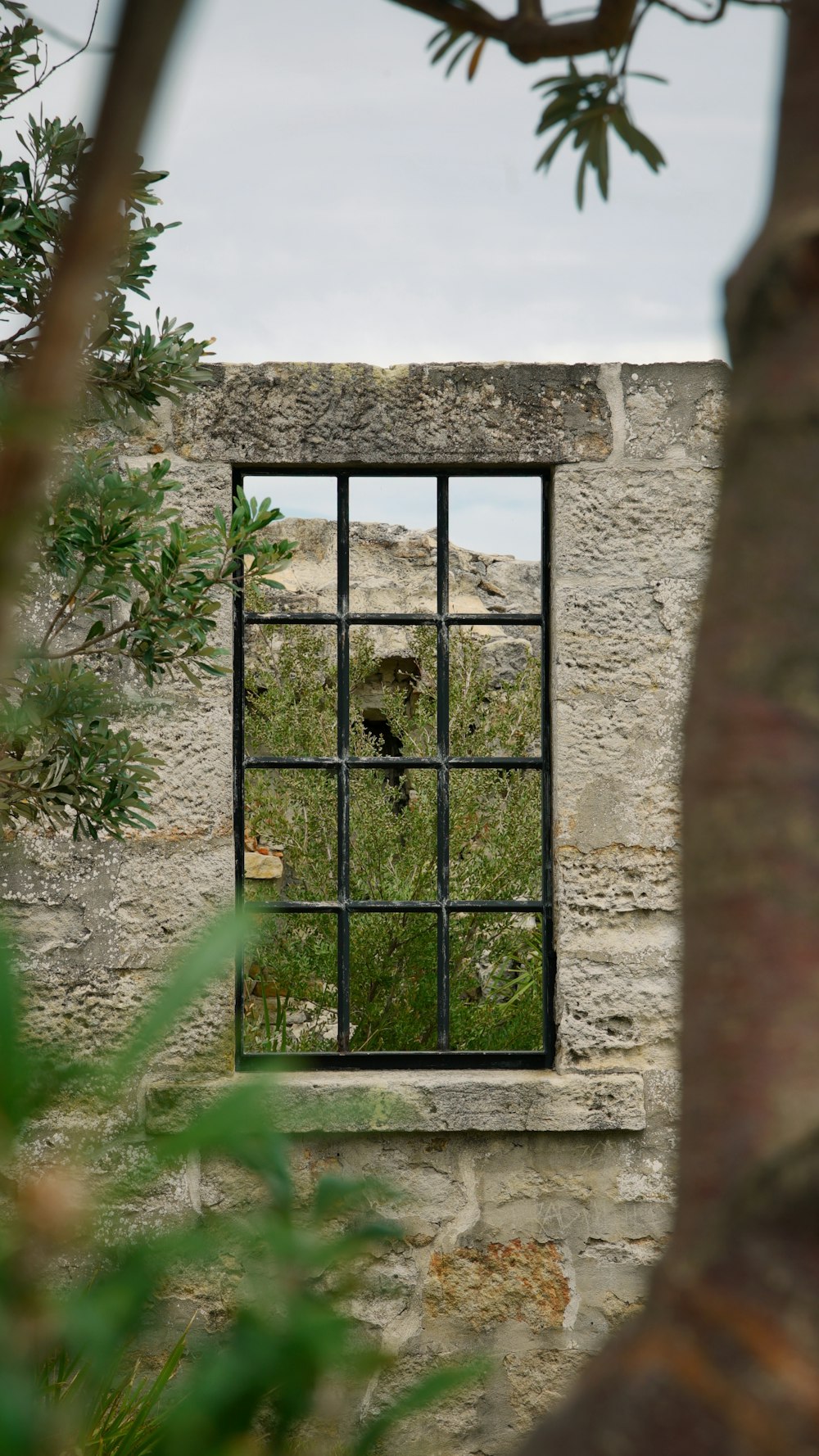 a window in a stone wall with a tree in the background