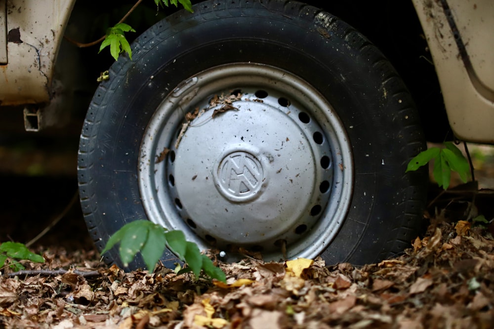 the tire of an old truck in the woods