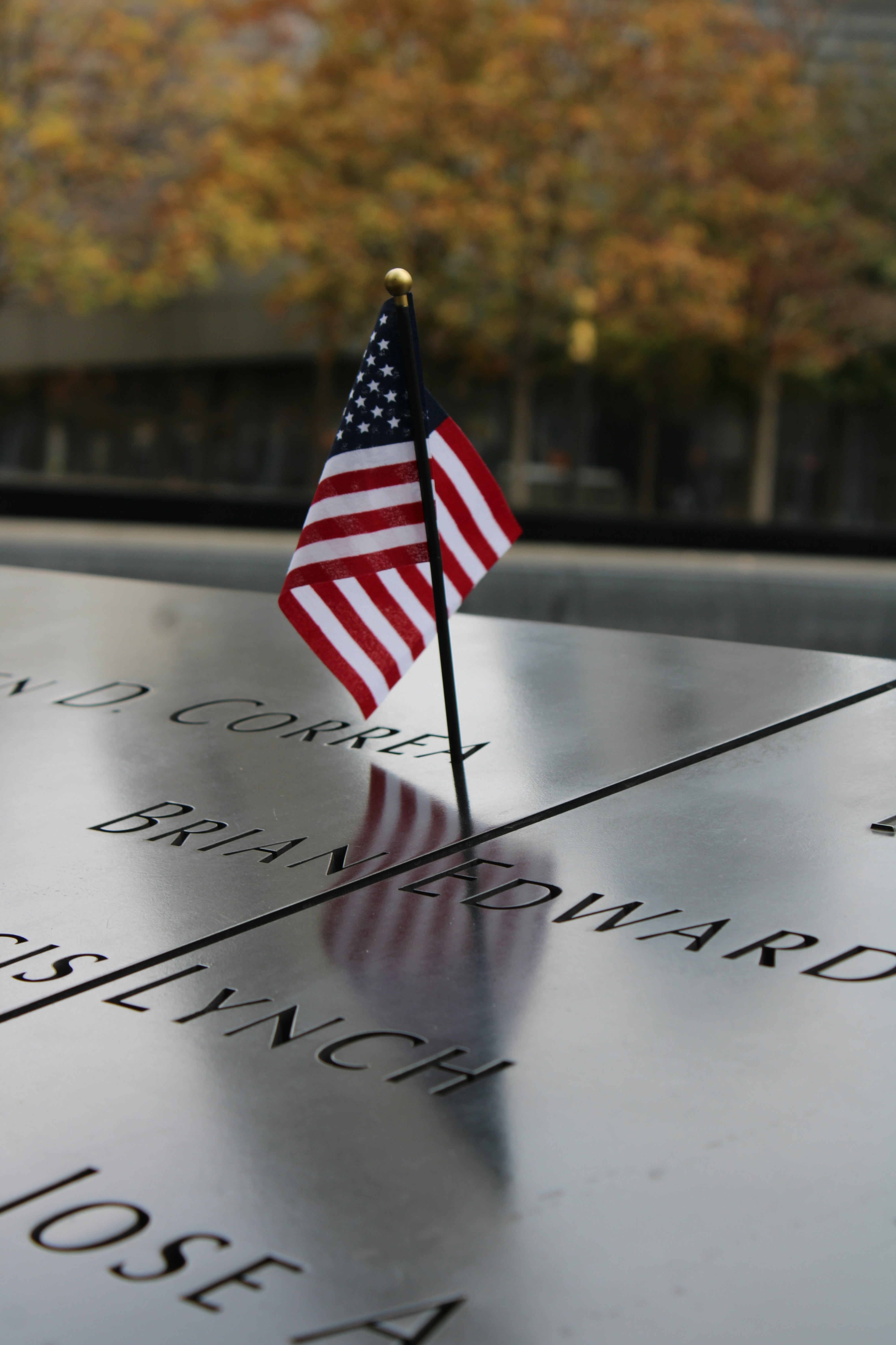 Photo by sadiecoulter