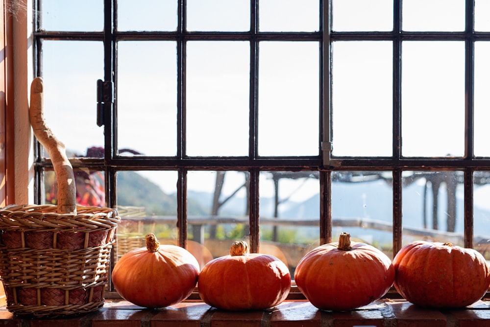 a group of pumpkins sitting in front of a window