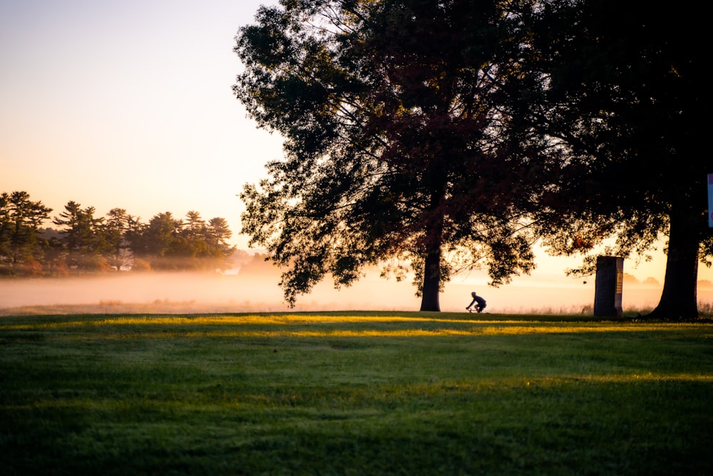 a person riding a bike on a foggy day