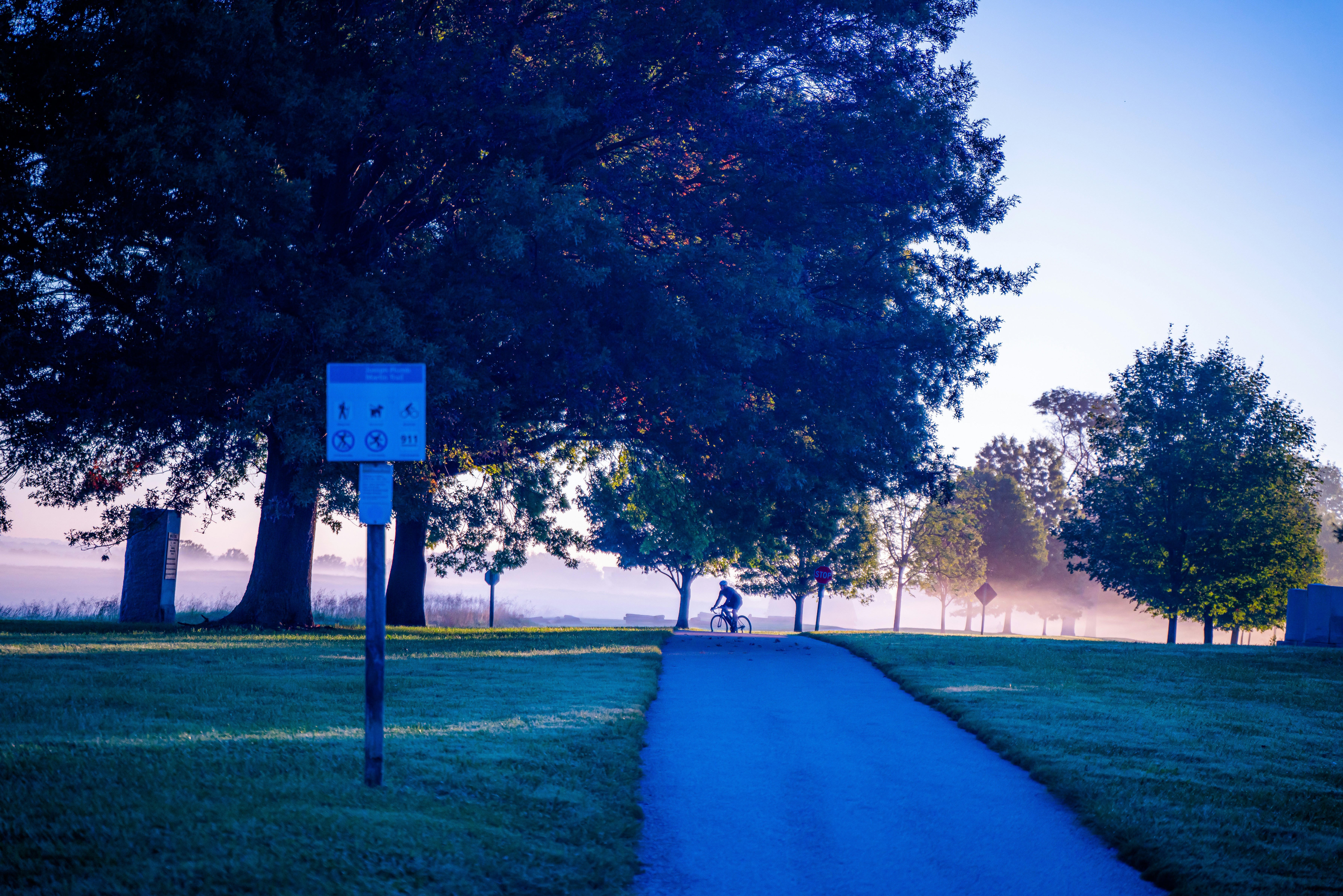 a blue path in a park with trees