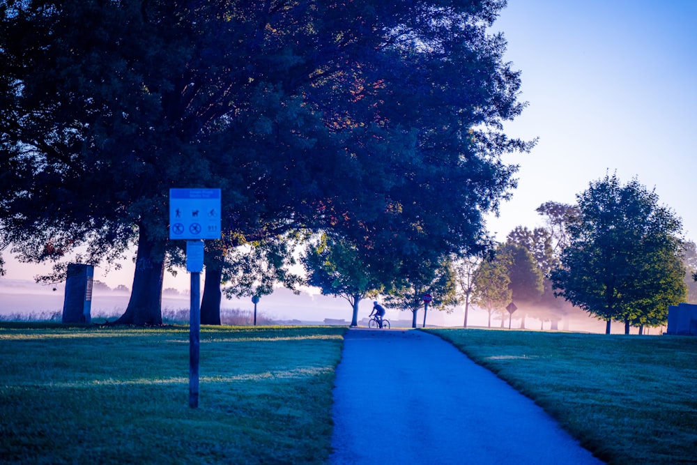 a blue path in a park with trees