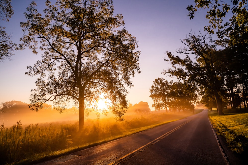 the sun is shining through the trees on the side of the road