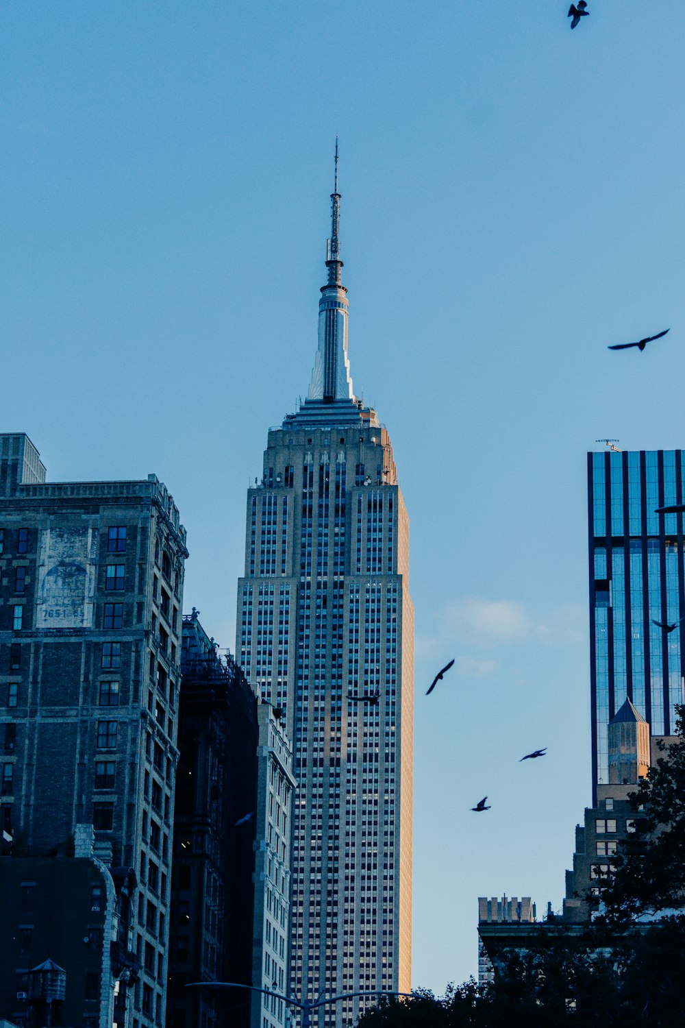 a group of birds flying over a city