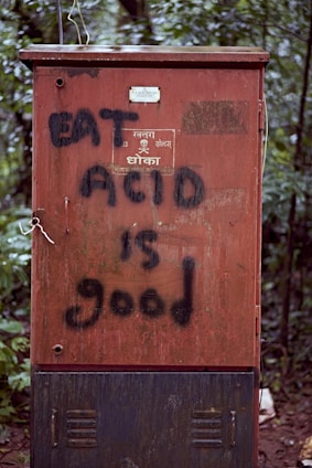 A rust-colored metal electrical box is positioned in a dense, leafy forest area. The front of the box has graffiti in black paint that reads 'EAT ACID is good'. There is a warning symbol and a text in another language. A small metal plaque is affixed to the top of the box with illegible text.