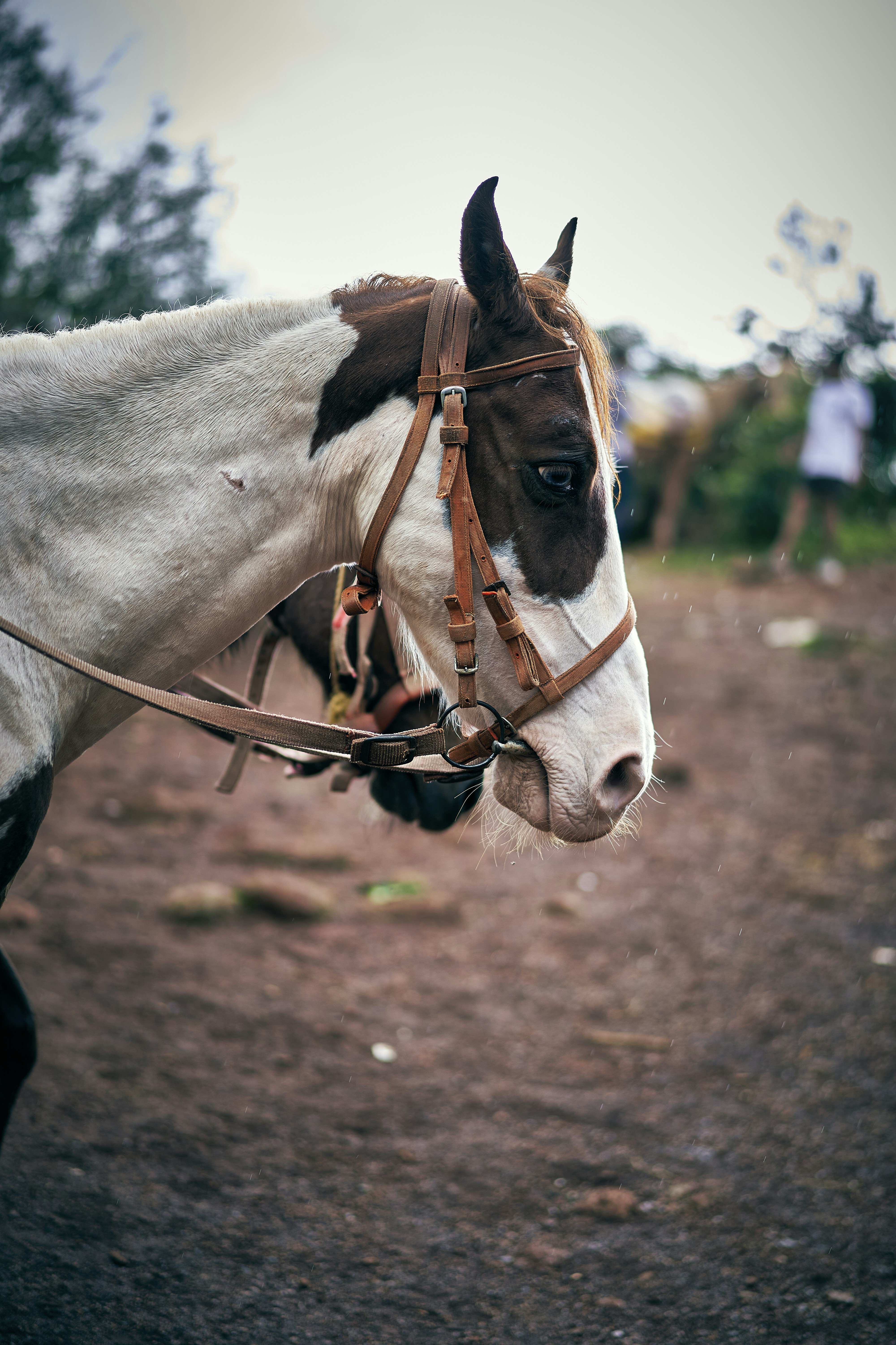 Photo by suicide_chewbacca