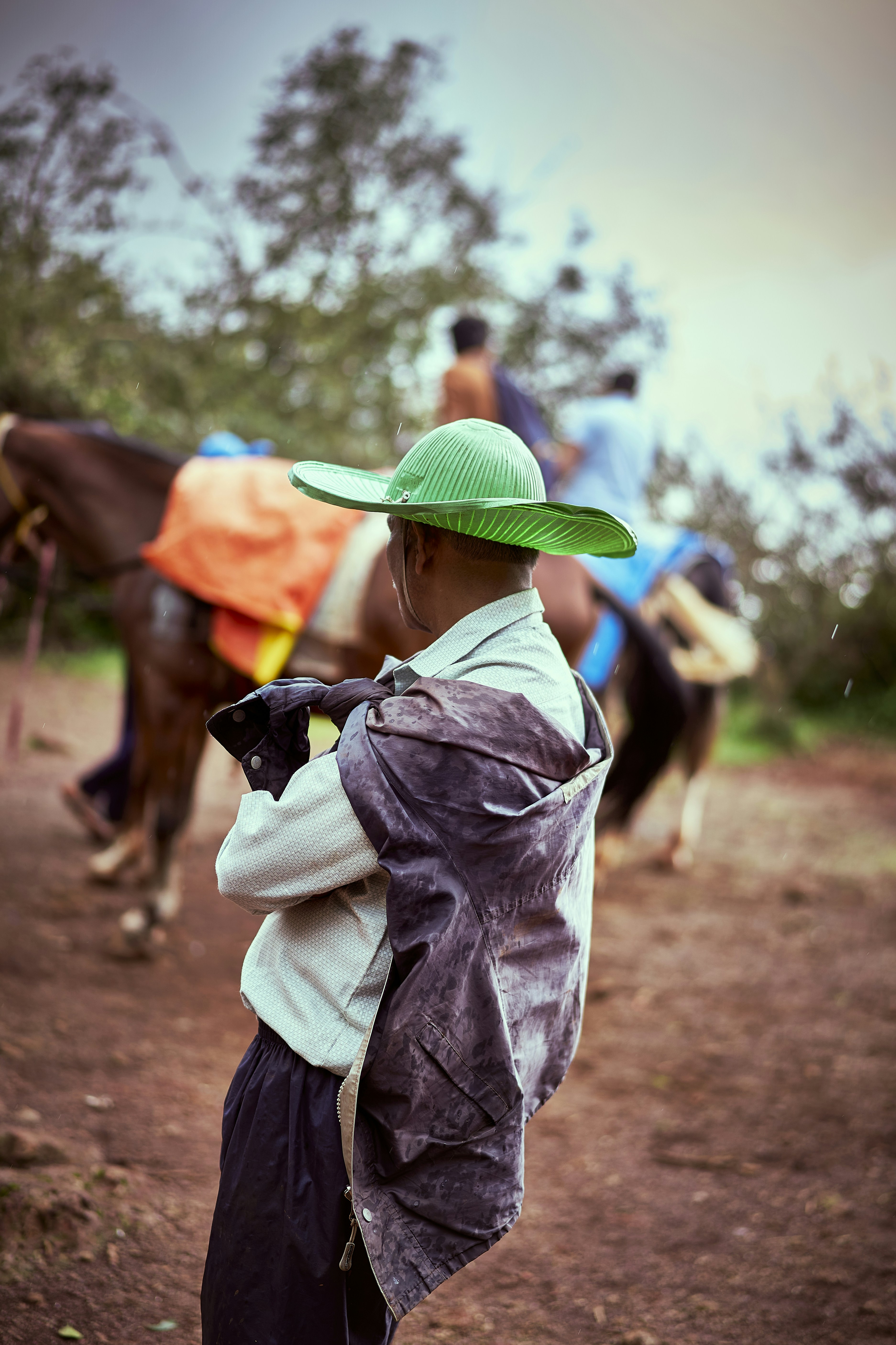 a man in a green hat is walking a horse