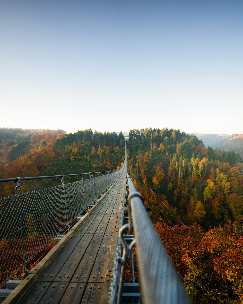 a long metal bridge over a forest filled with trees