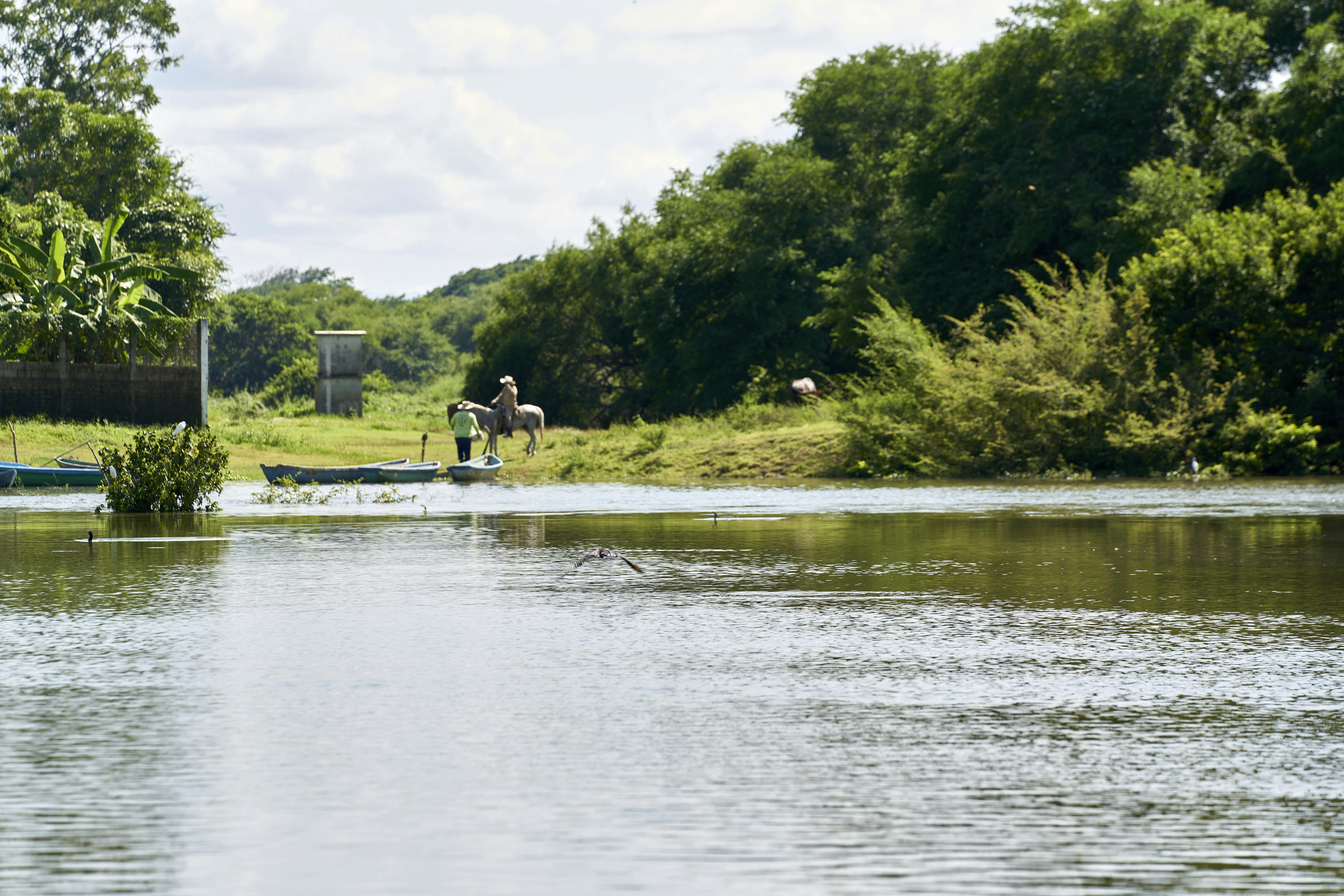a man riding a boat down a river next to a forest