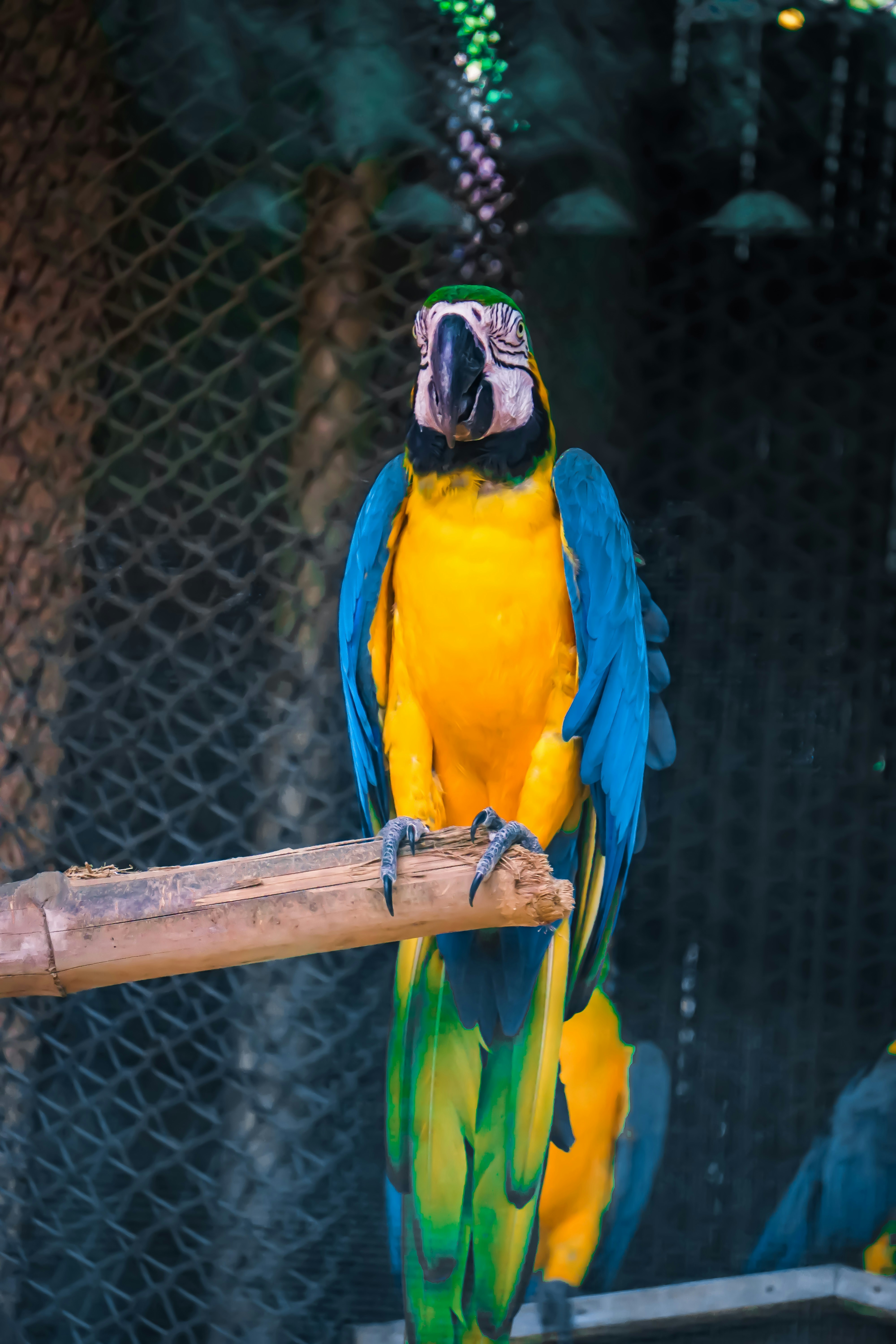 Photo by saurabh_photography