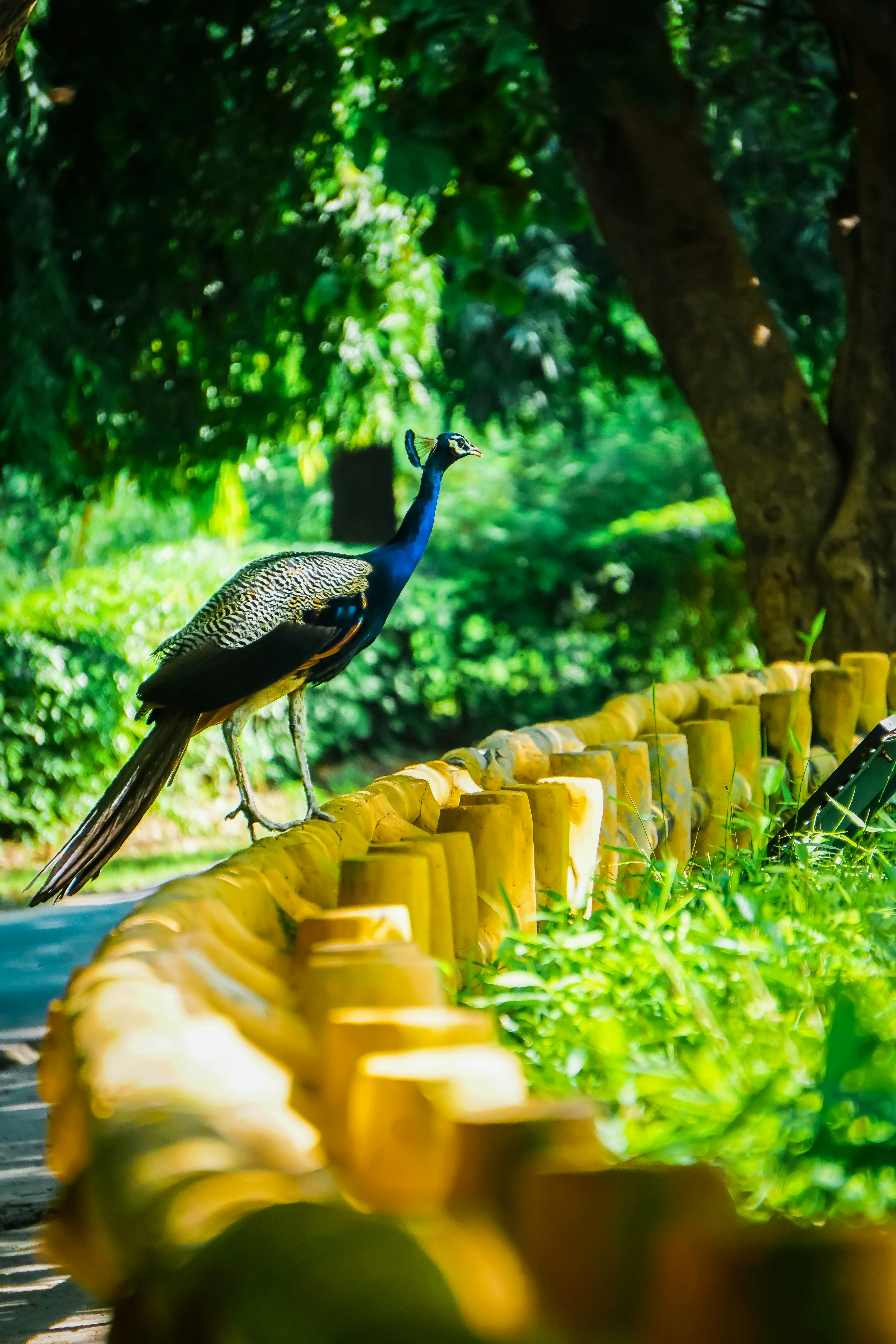 Photo by saurabh_photography