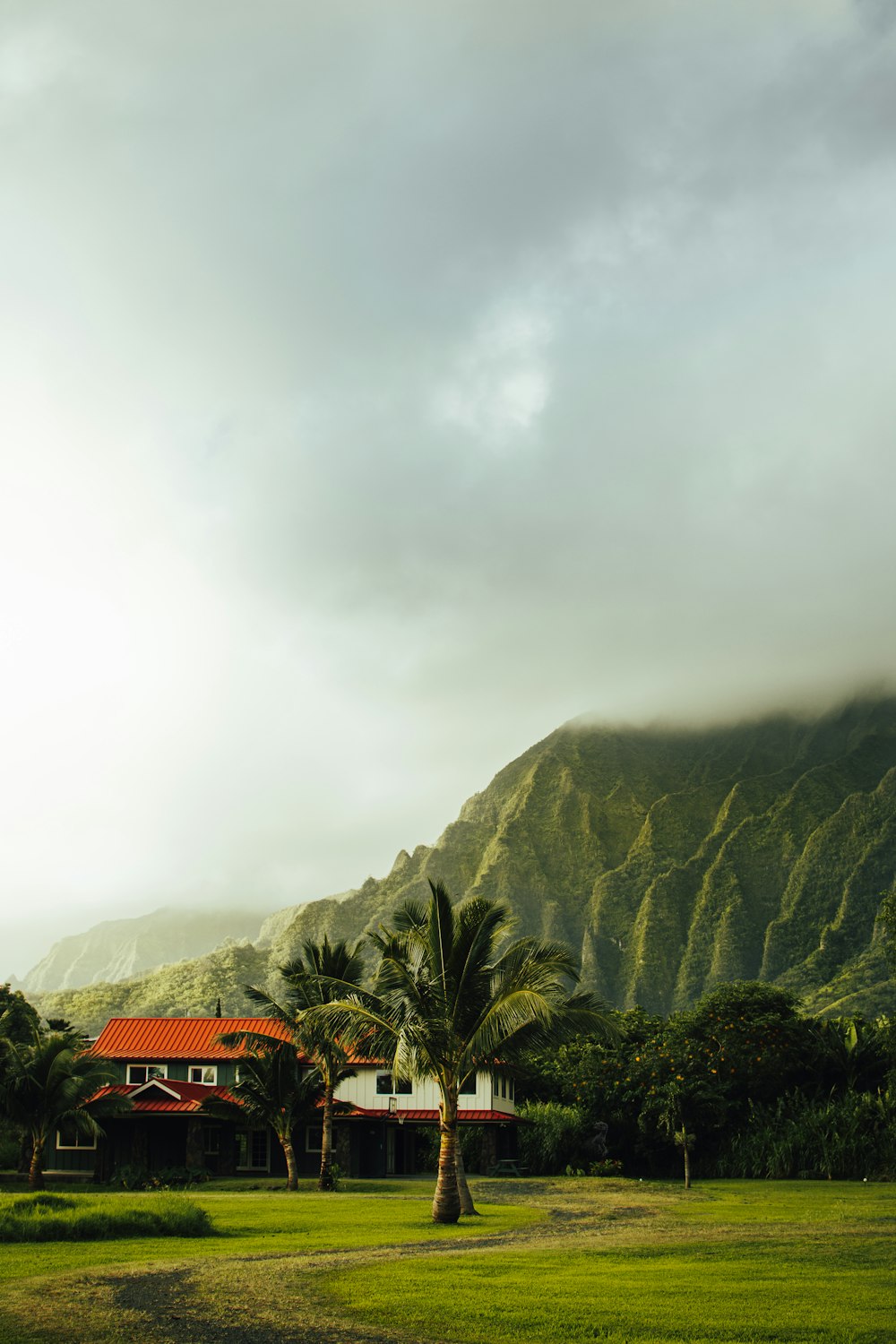 a lush green field with a house and mountains in the background