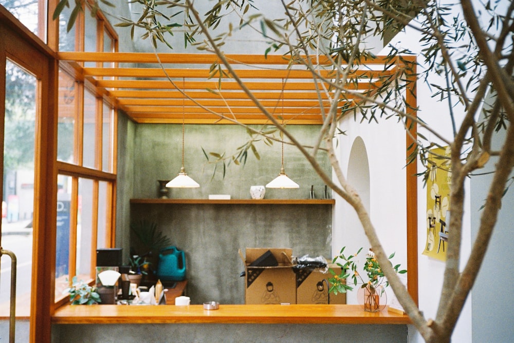 a tree in front of a window with a shelf on it