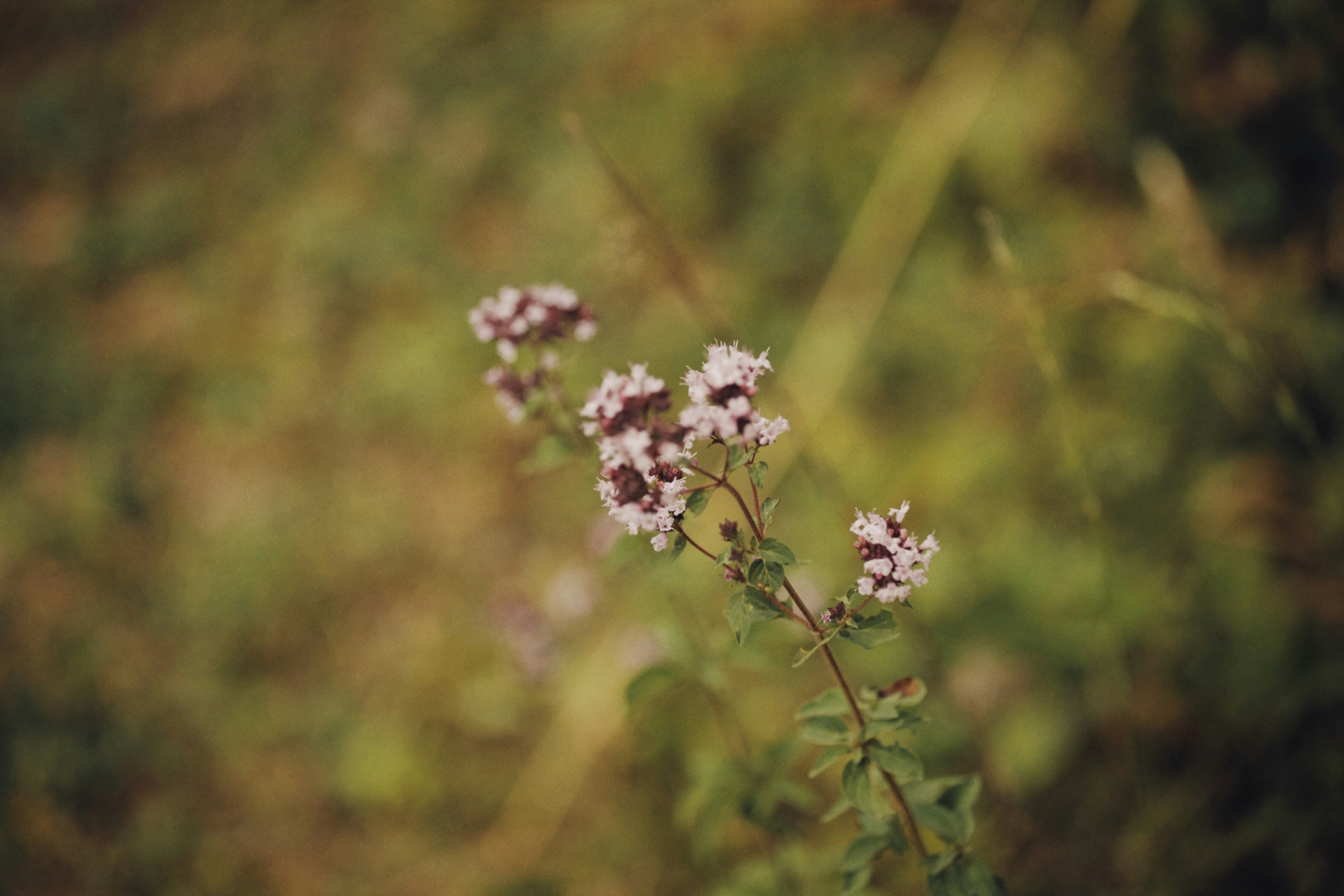 Photo by alexeydemidov