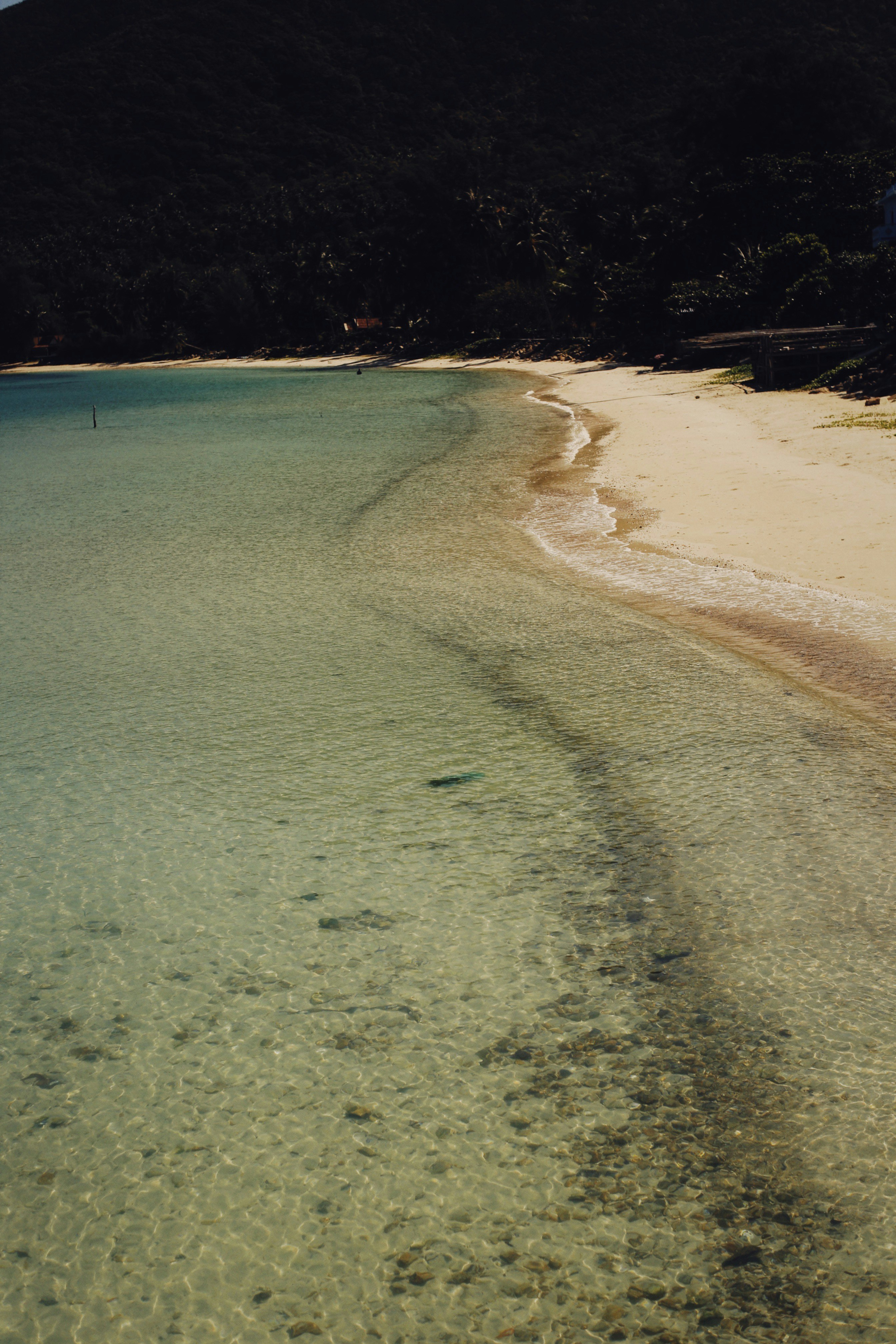 Photo by alexeydemidov