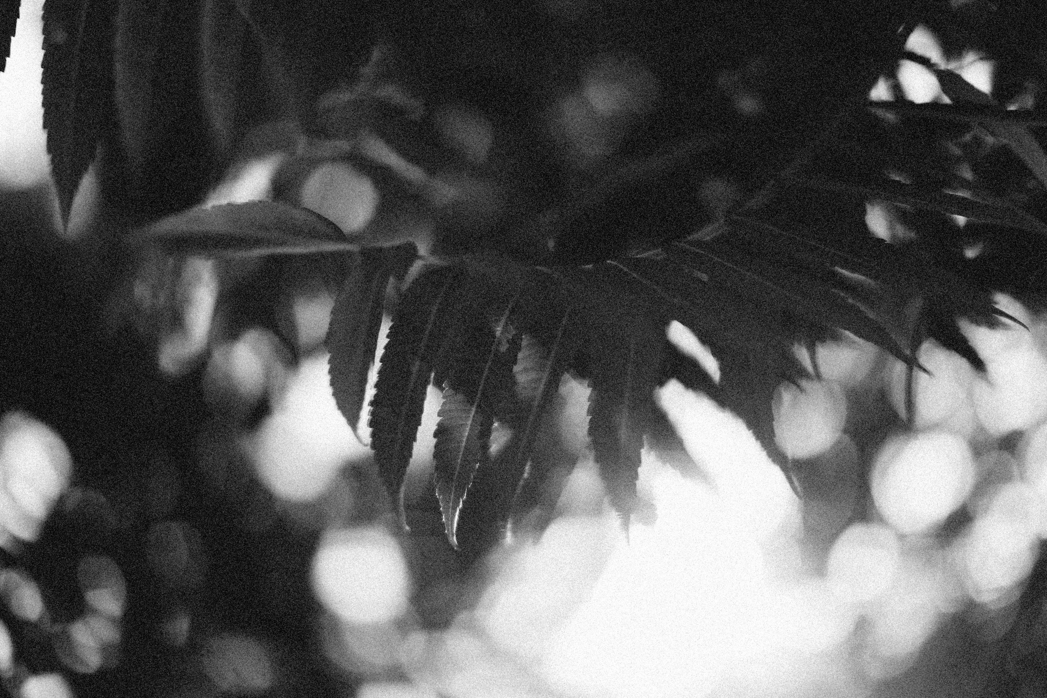 Photo by alexeydemidov