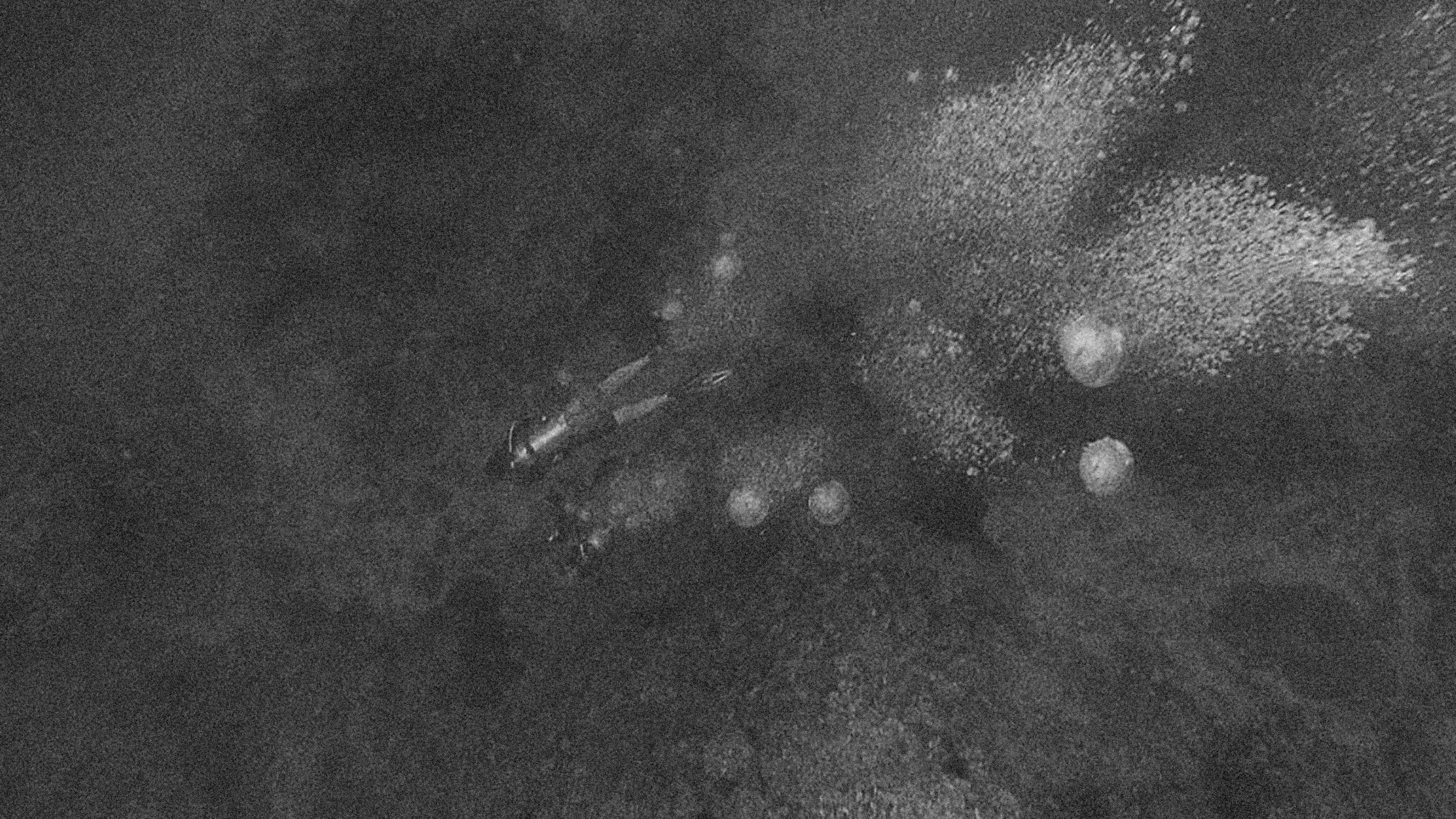 Photo by alexeydemidov