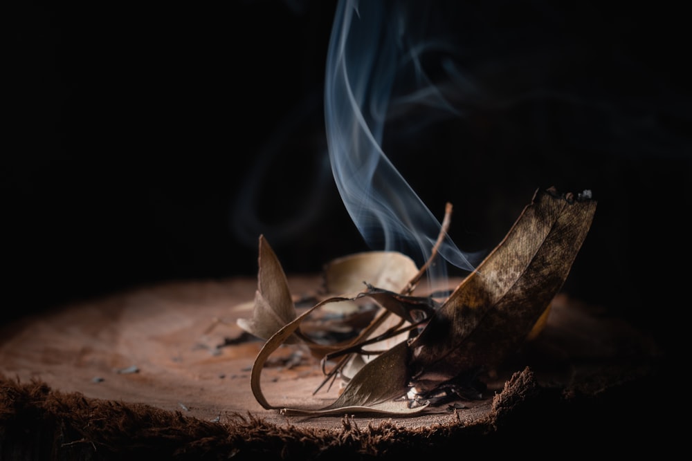 a piece of wood with smoke coming out of it