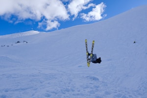 Winter - skiing in the snow