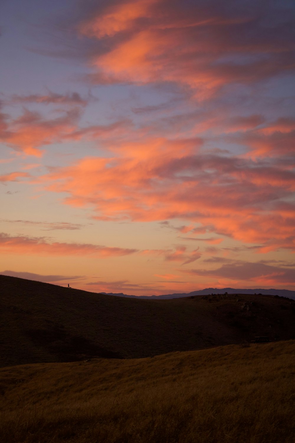 a sunset view of a grassy hill with a person standing on top of it