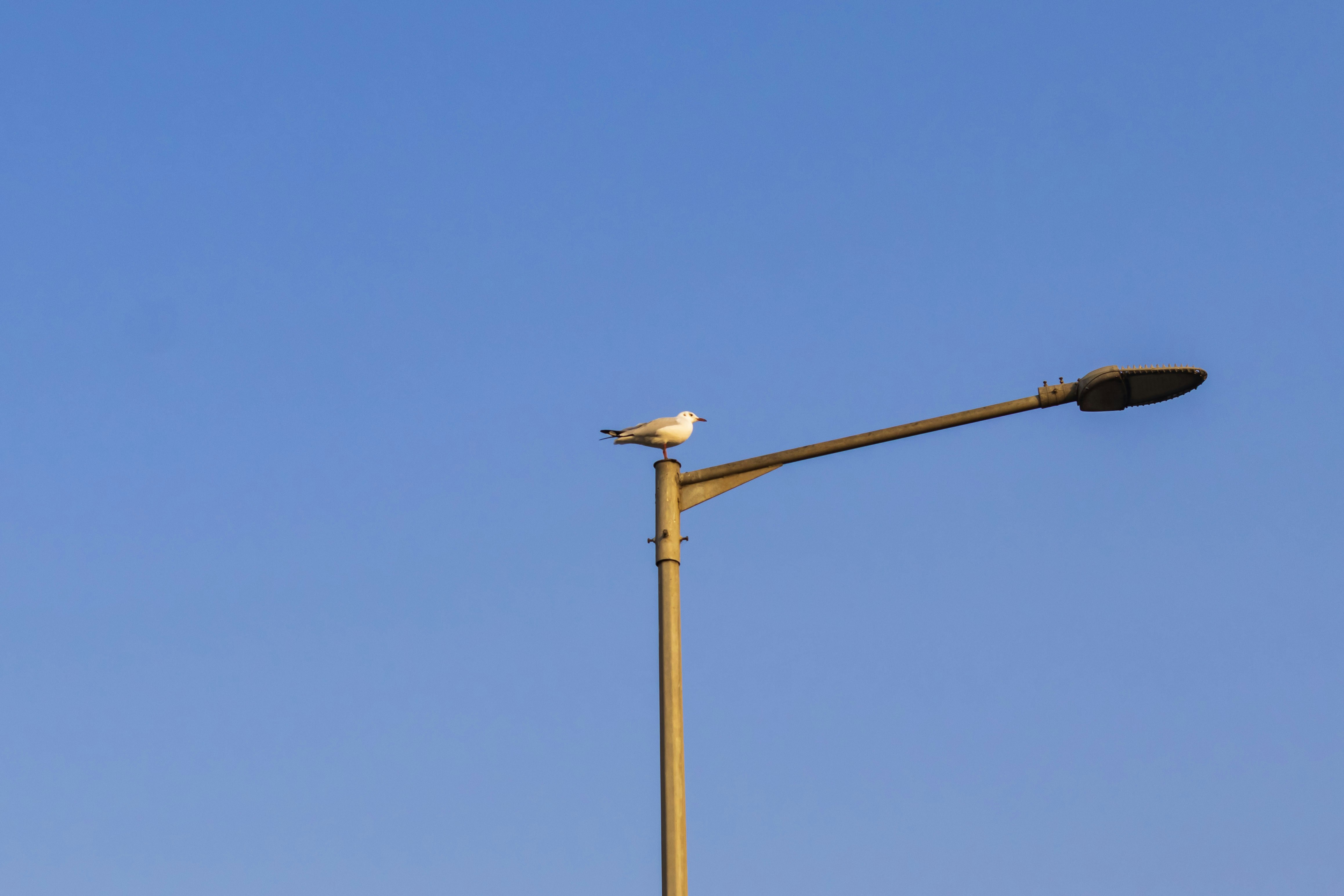 Photo by vdphotography