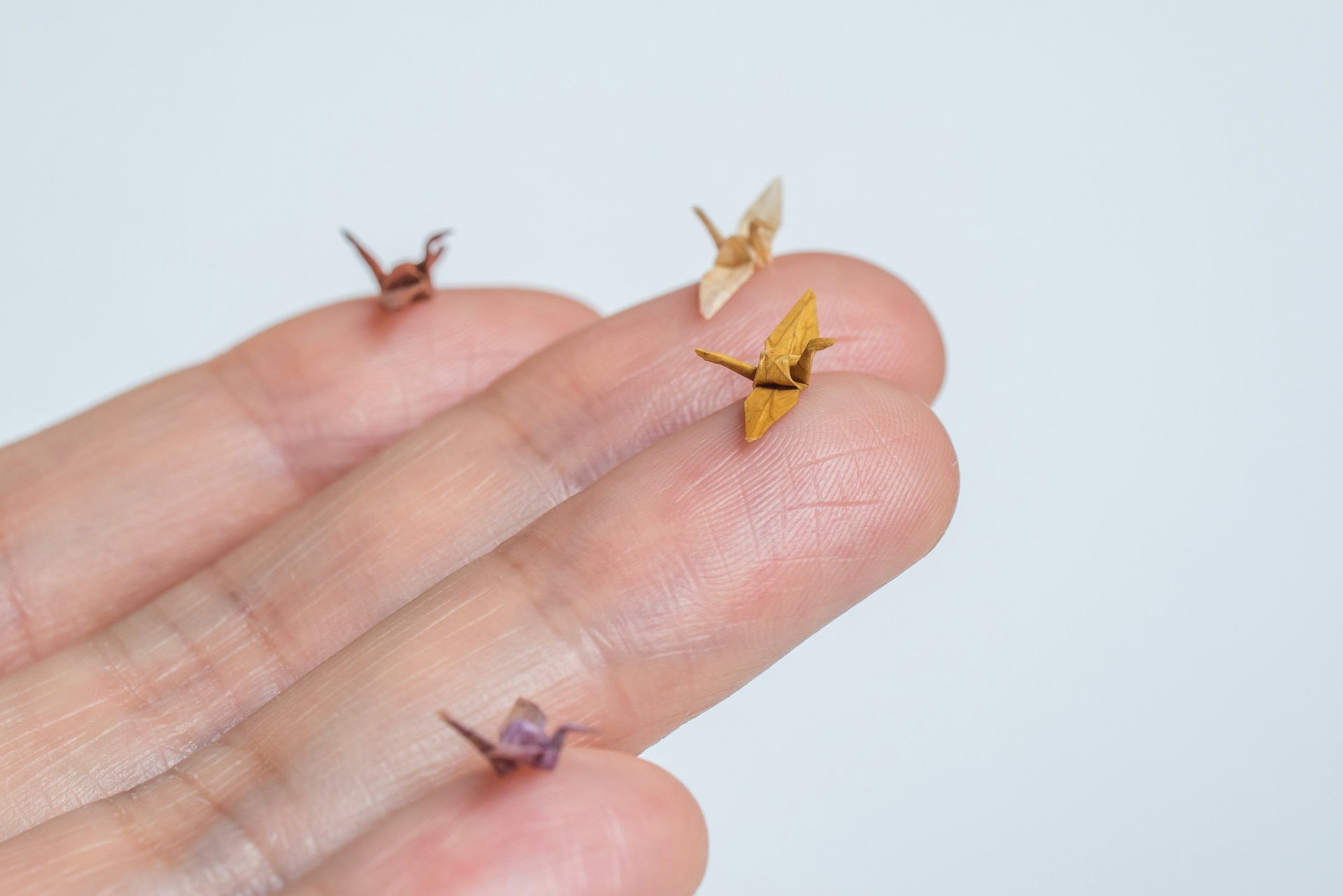 A close-up of delicate origami cranes in soft pastel colors, showcasing intricate folds and craftsmanship.