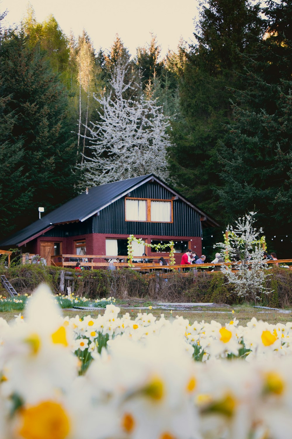 a house surrounded by flowers and trees