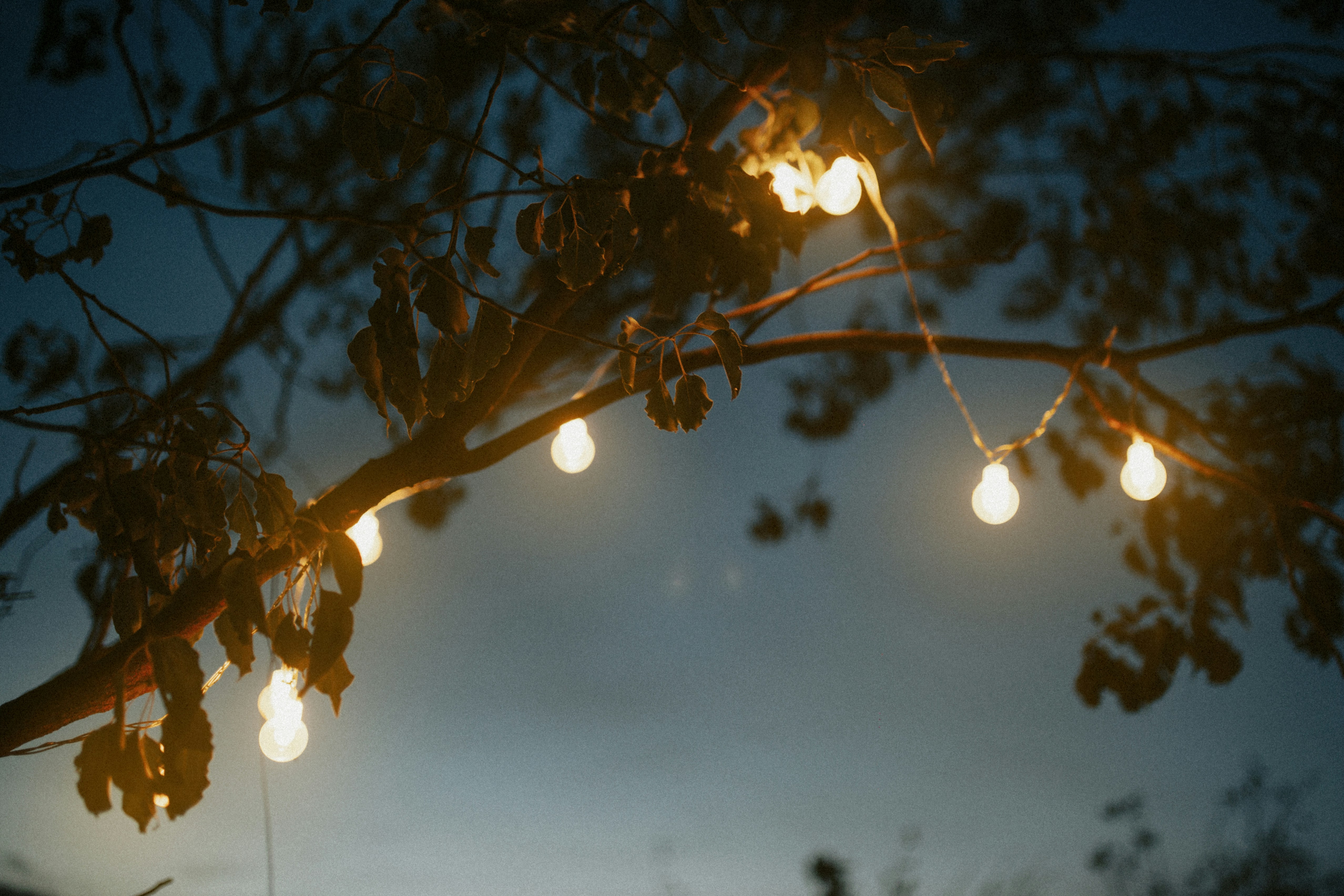 Photo by dulichgialai