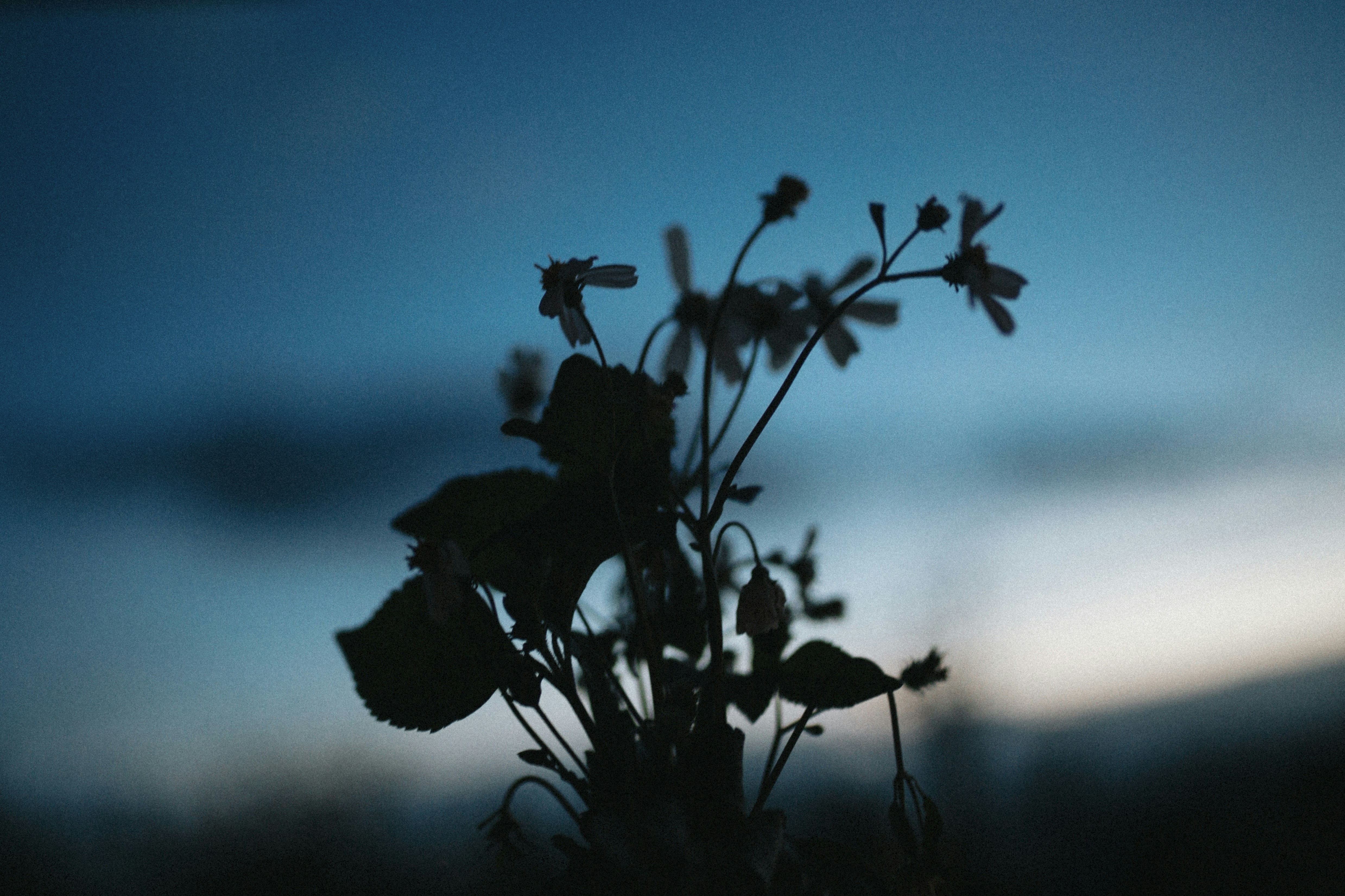 Photo by dulichgialai