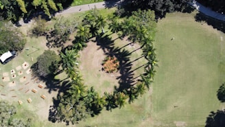 an aerial view of a park with trees and grass