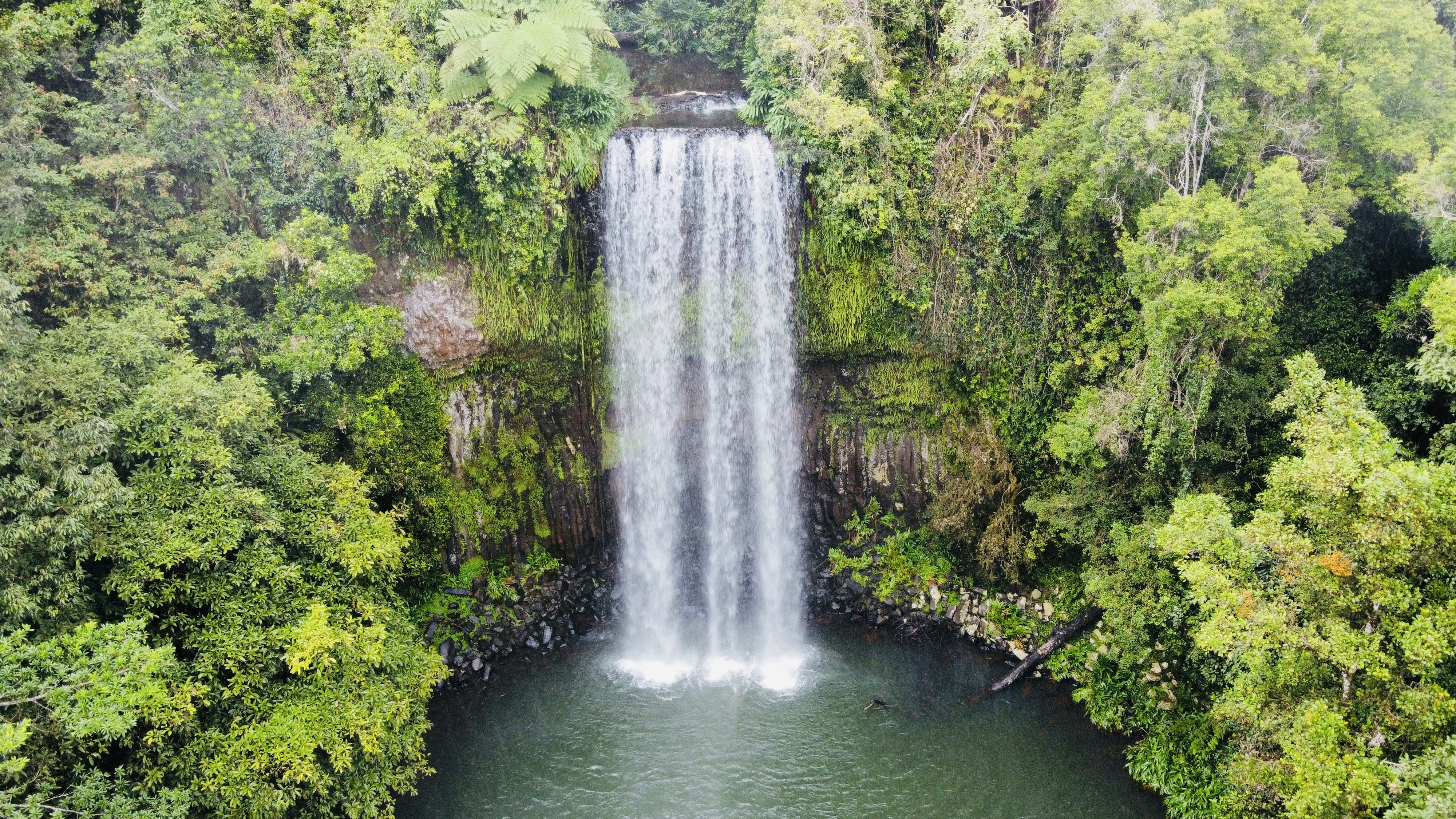 a large waterfall in the middle of a forest