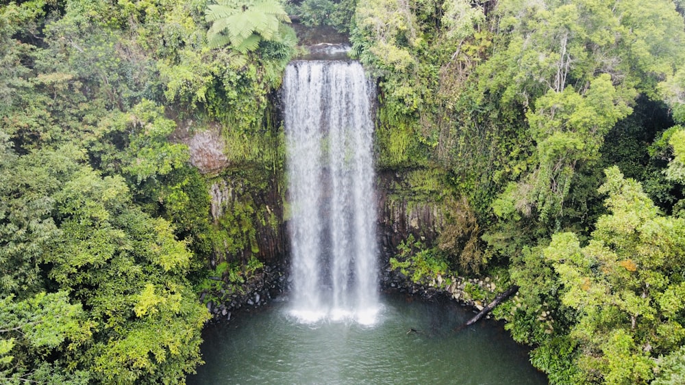 a large waterfall in the middle of a forest