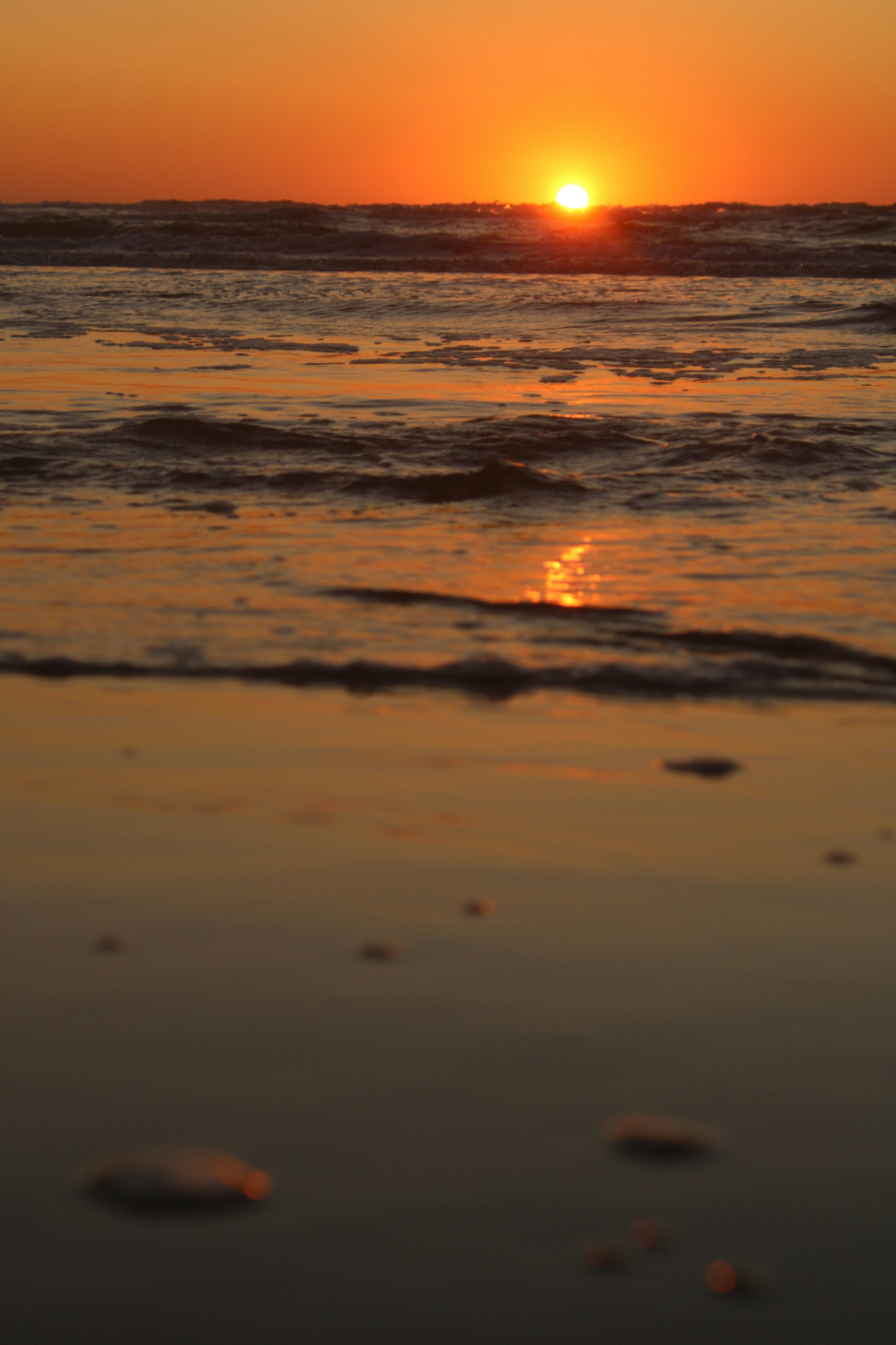 Photo by troesjona