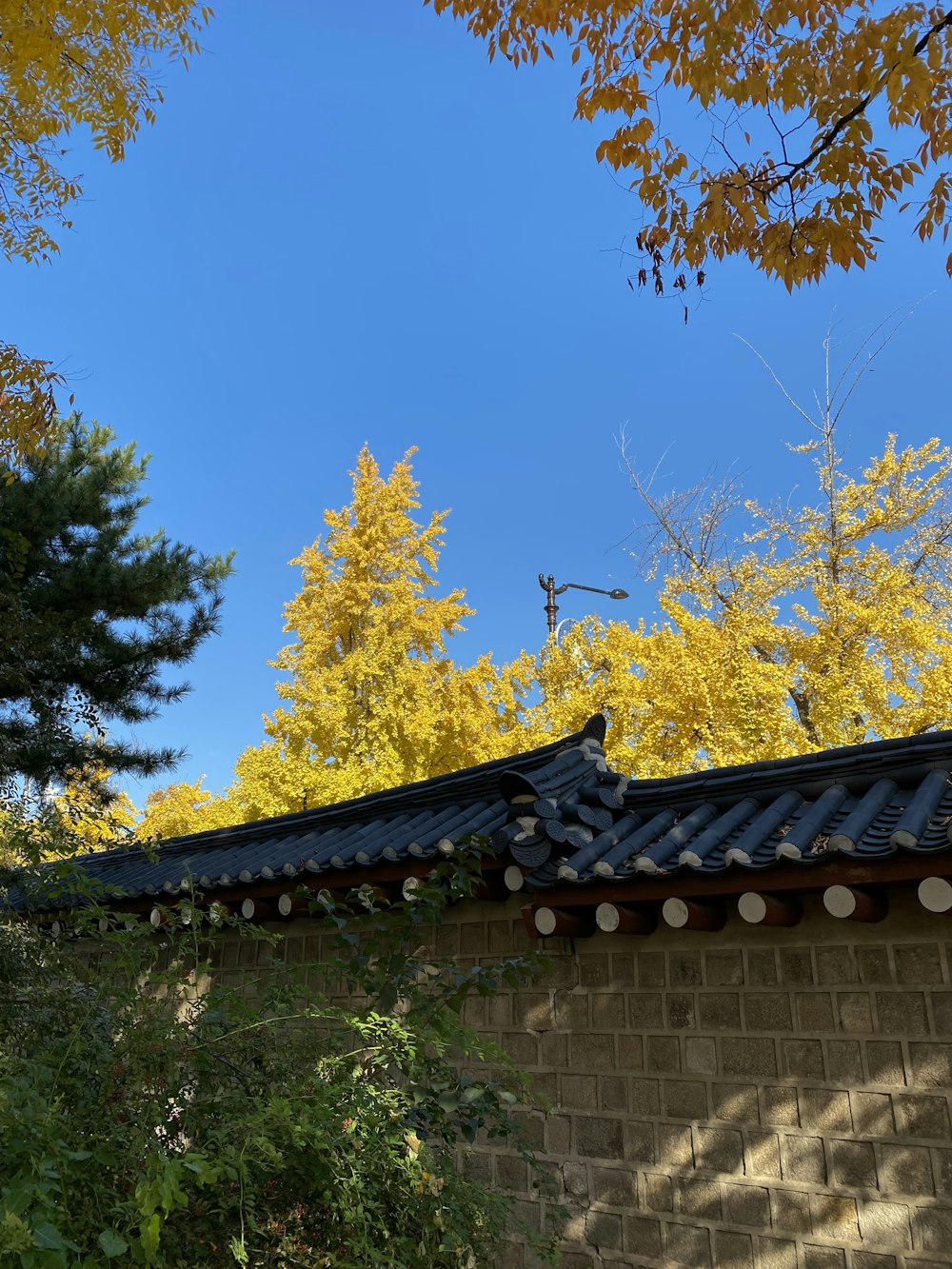 a brick wall with a roof with a tree in the background