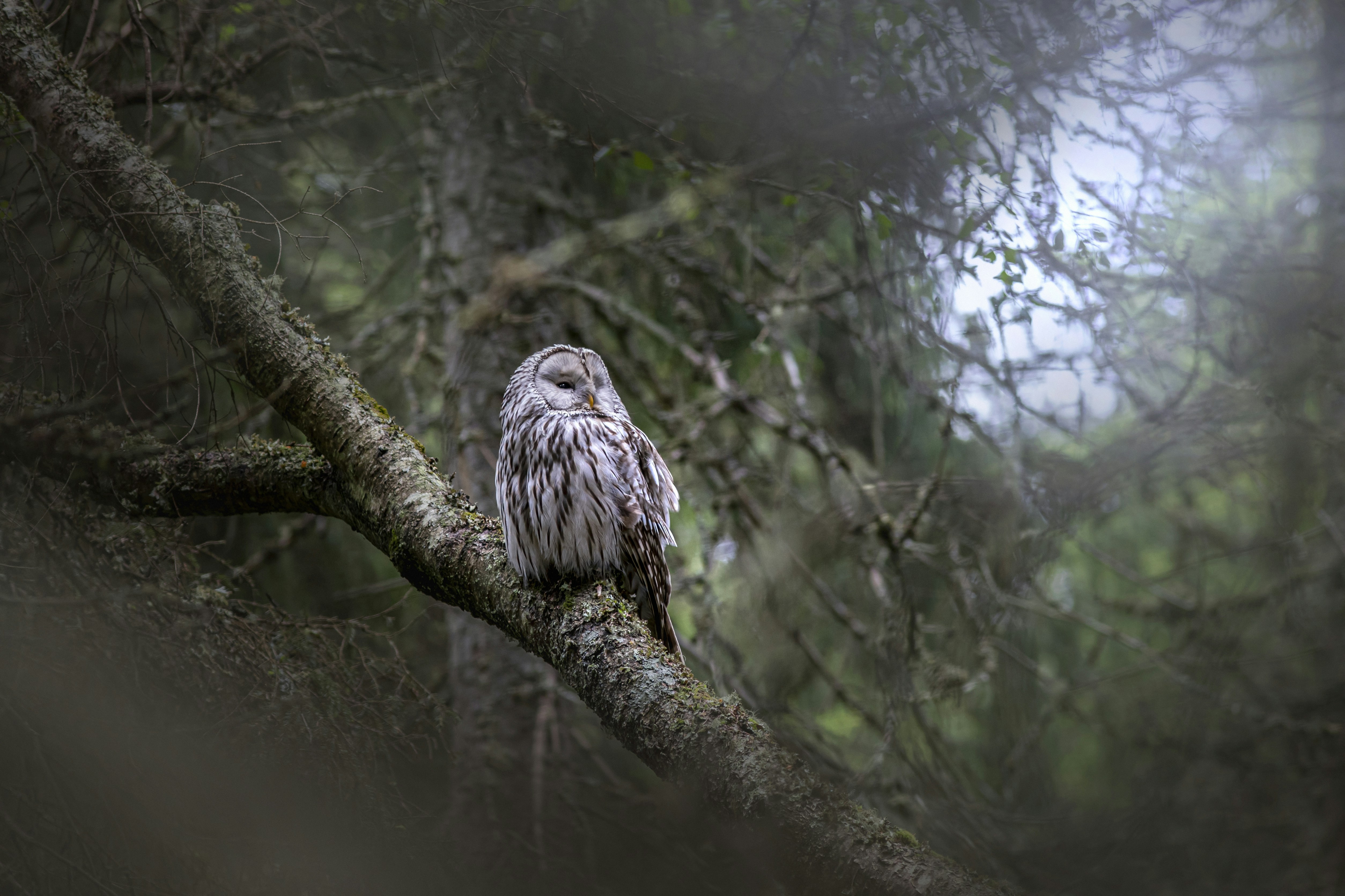 Photo by erik_karits