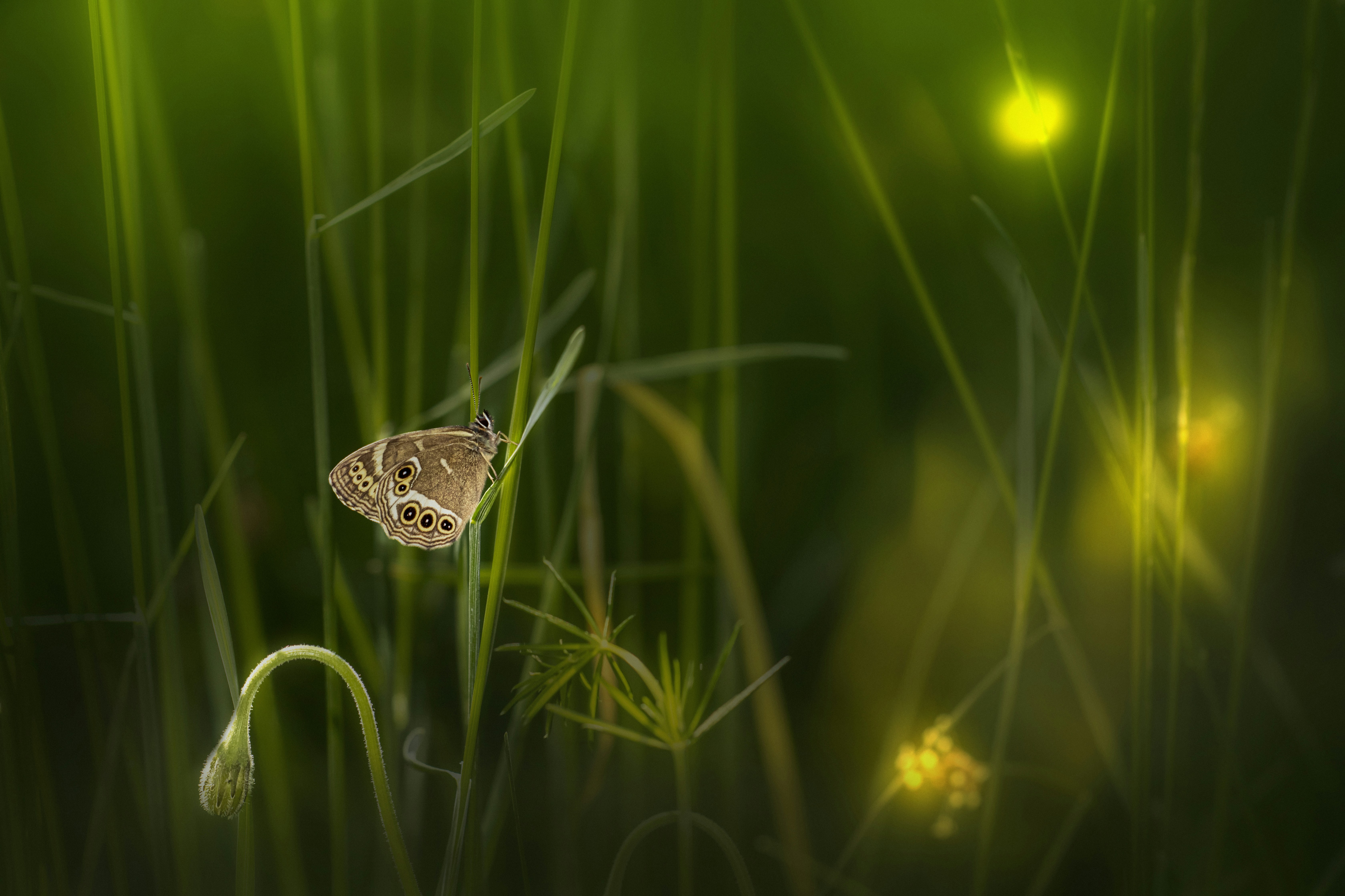 Photo by erik_karits