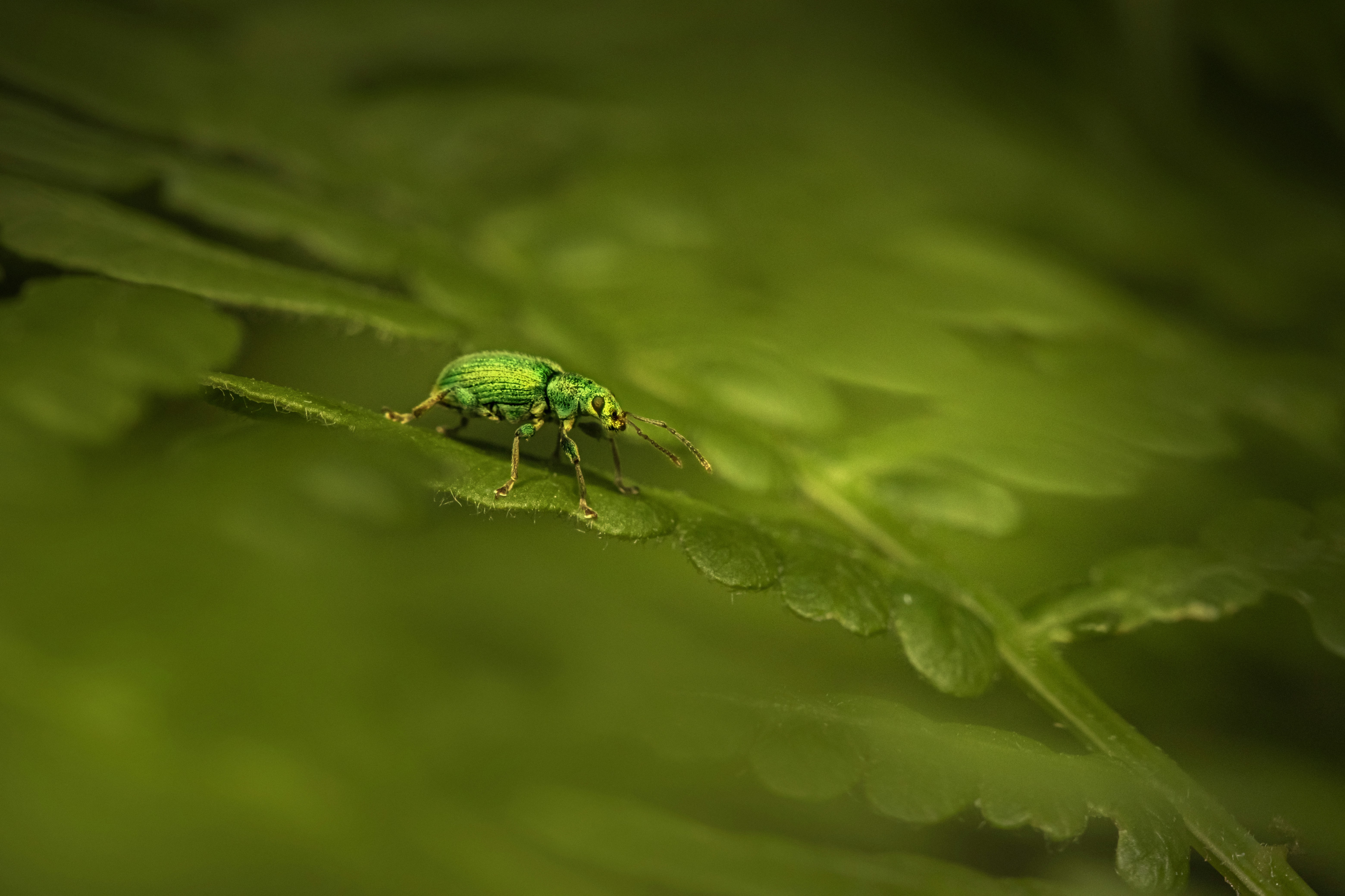 Photo by erik_karits