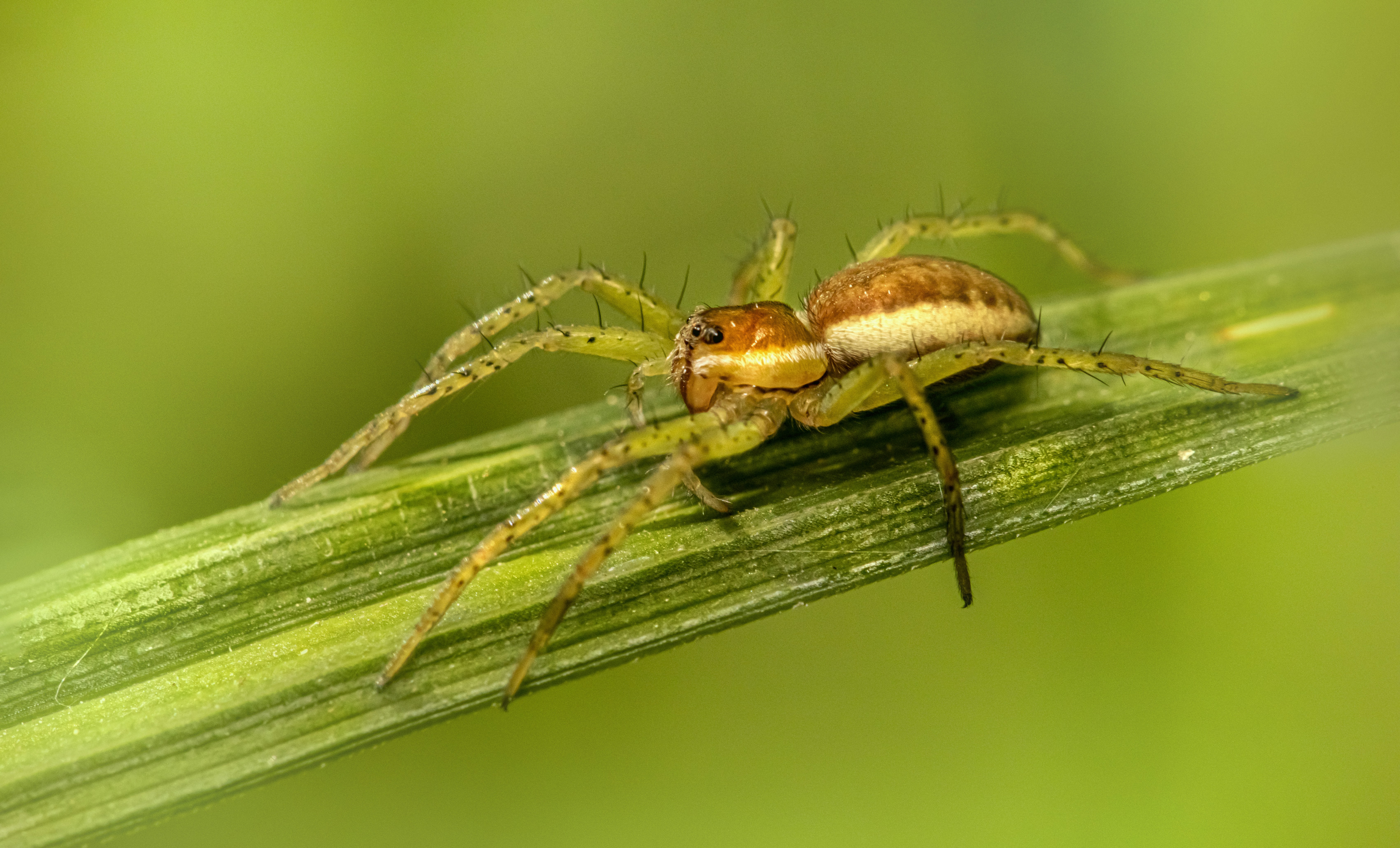 Photo by erik_karits