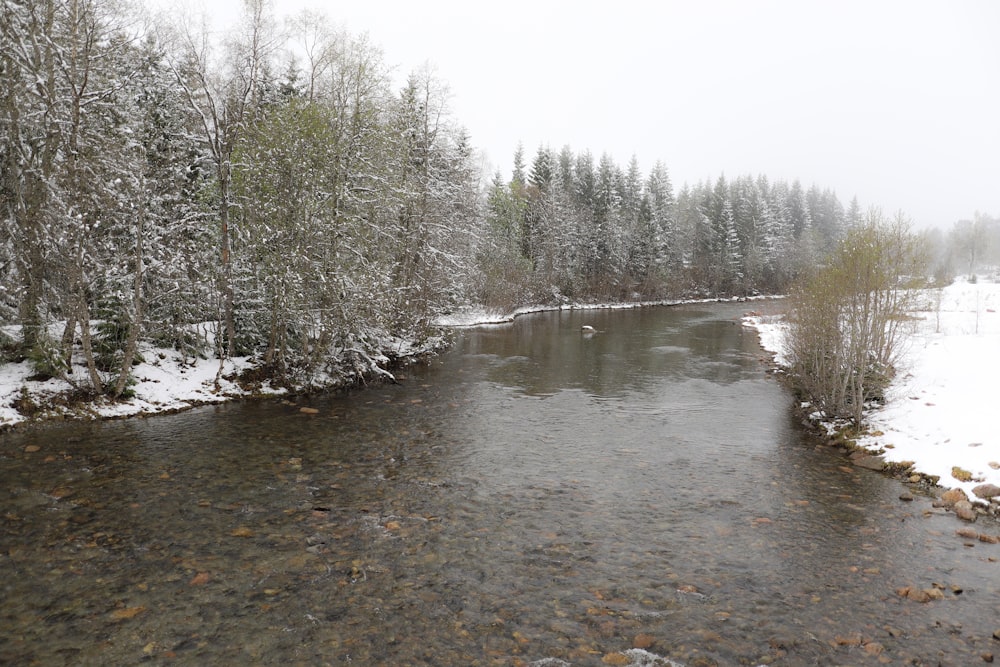 a river running through a snow covered forest